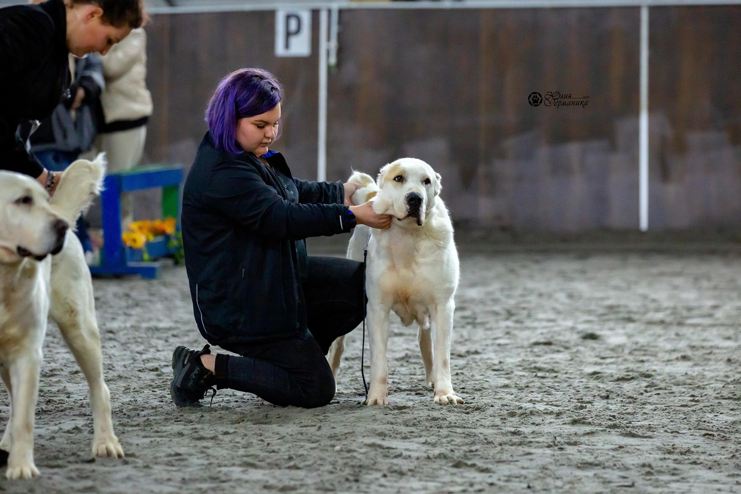 Националка САО+КЧК 24 апреля 2022. Фотограф-анималист Юлия Германика