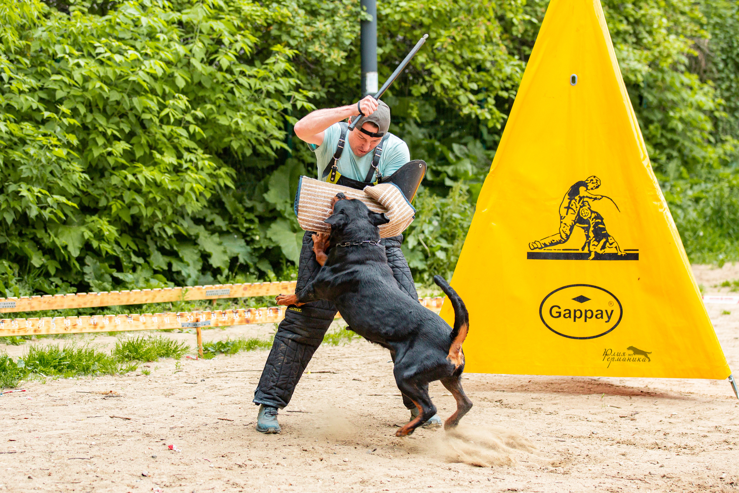 Смоленск 12.06,   Ховрино 13.06,    Питер 18.06 2022. Фотограф-анималист Юлия Германика