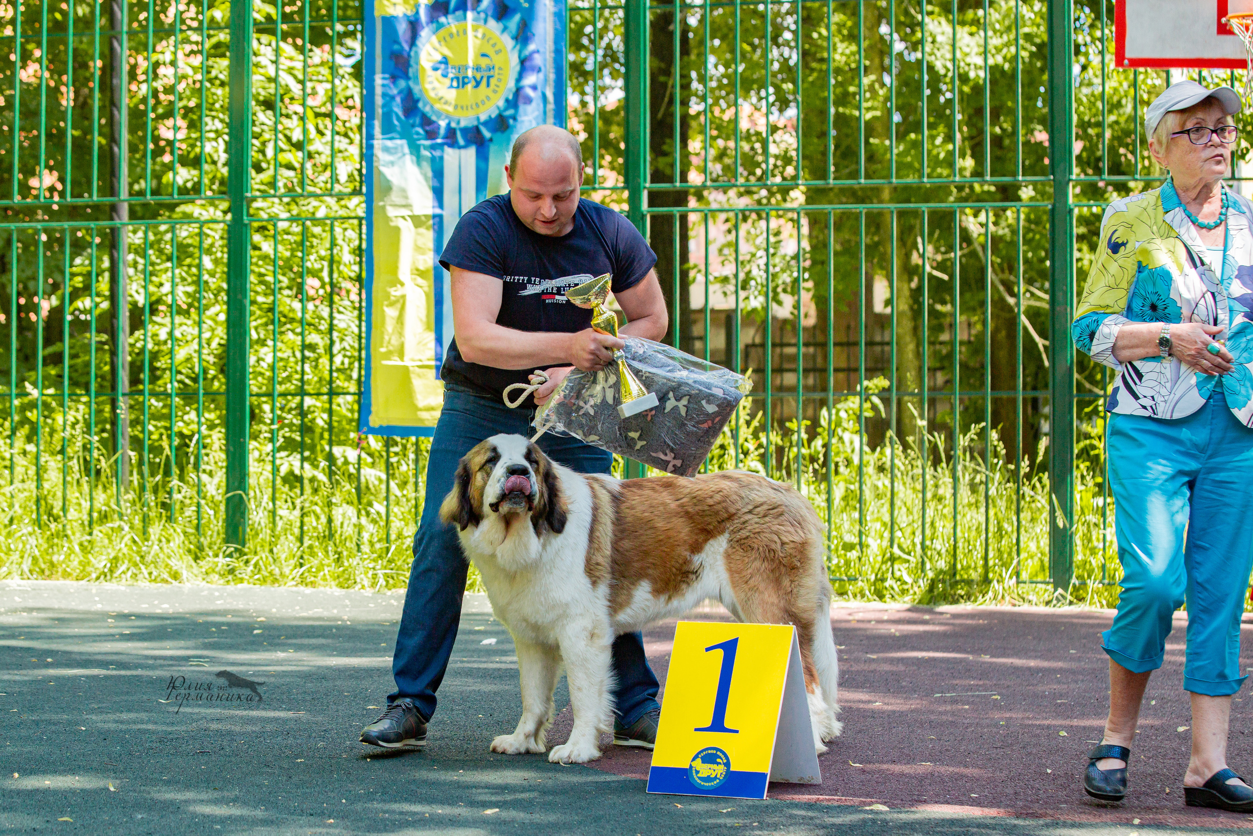 Сергиев Посад 2хСАС 25.06.2022. Фотограф-анималист Юлия Германика