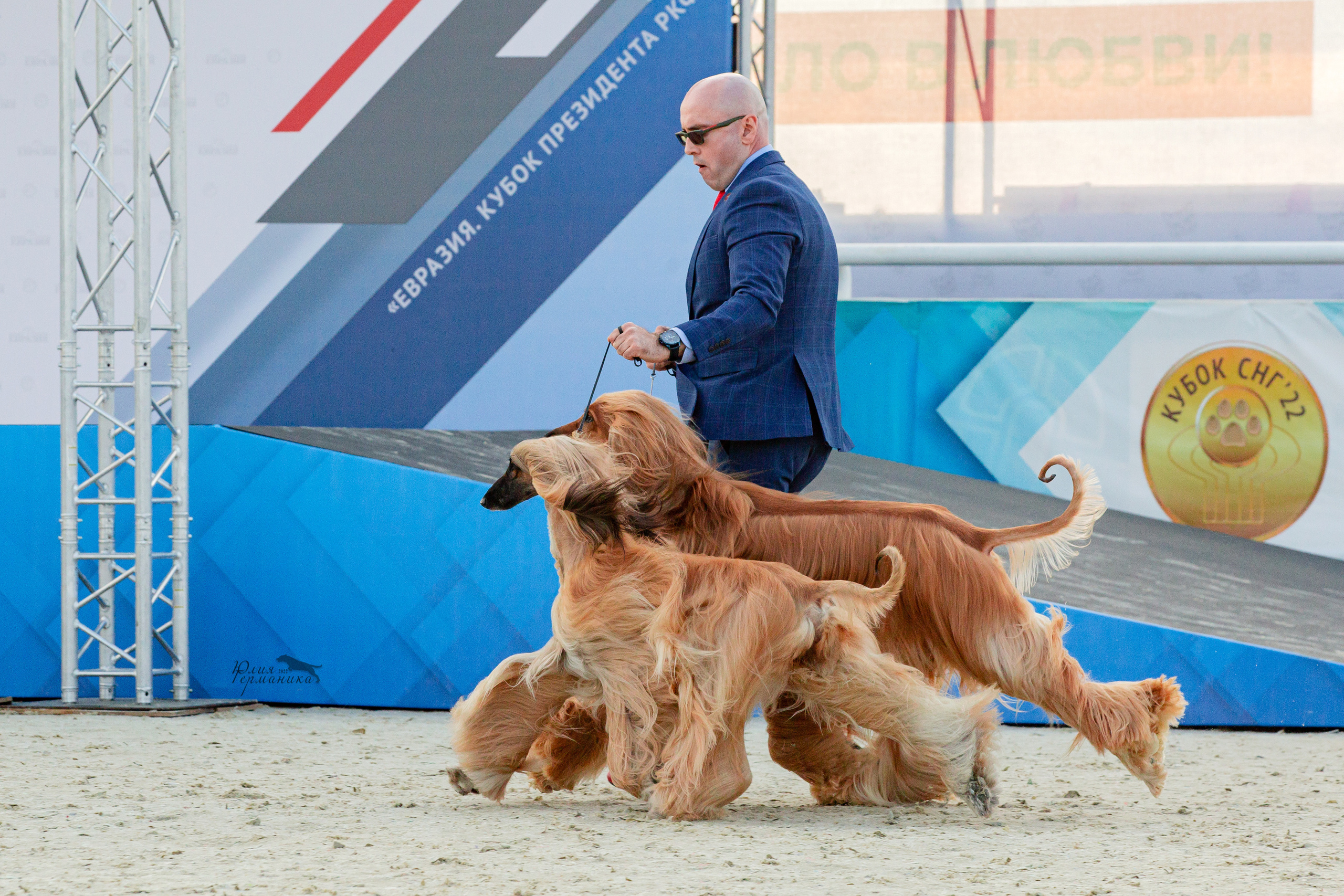 Евразия 21-22 мая 2022. Фотограф-анималист Юлия Германика