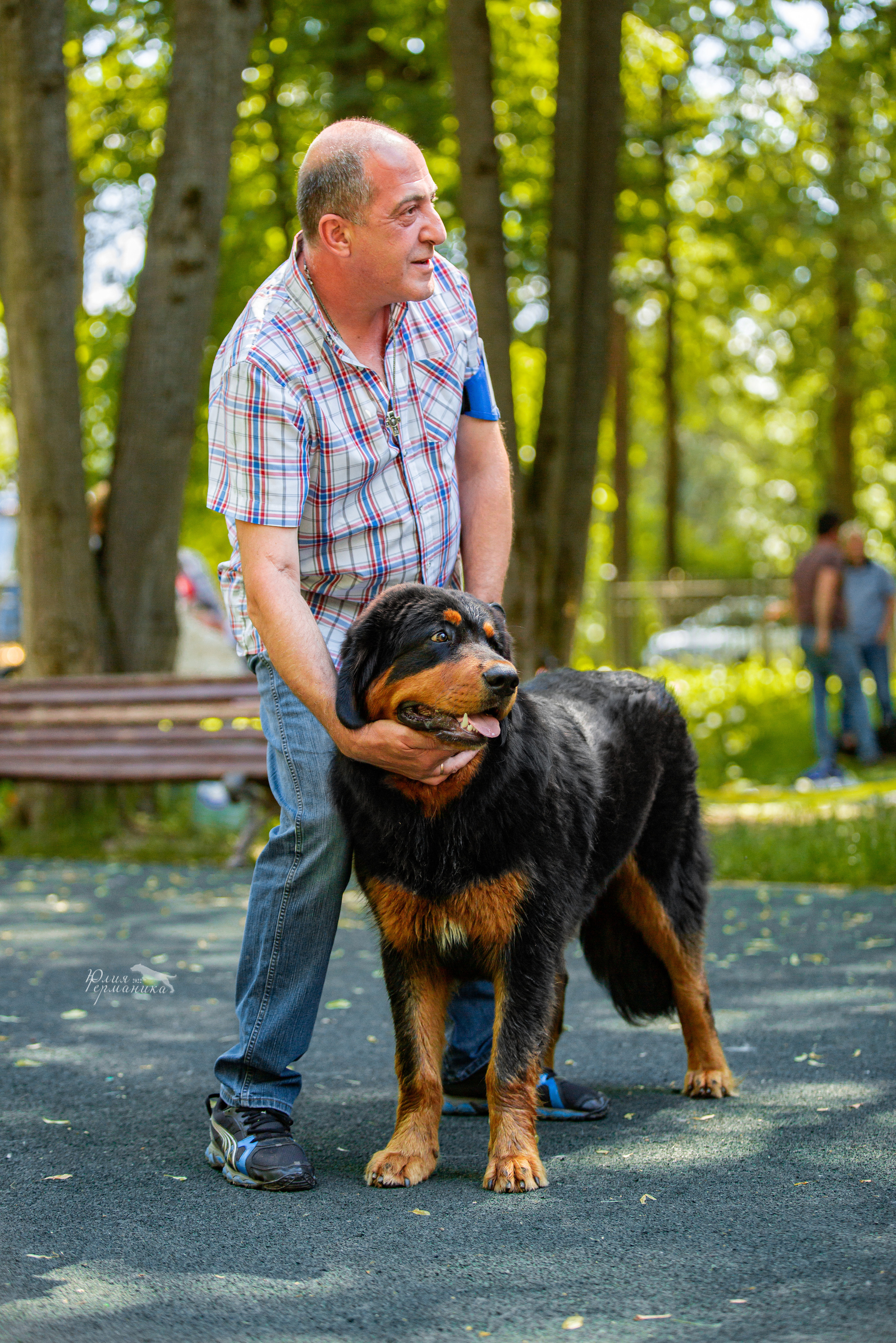 Сергиев Посад 2хСАС 25.06.2022. Фотограф-анималист Юлия Германика