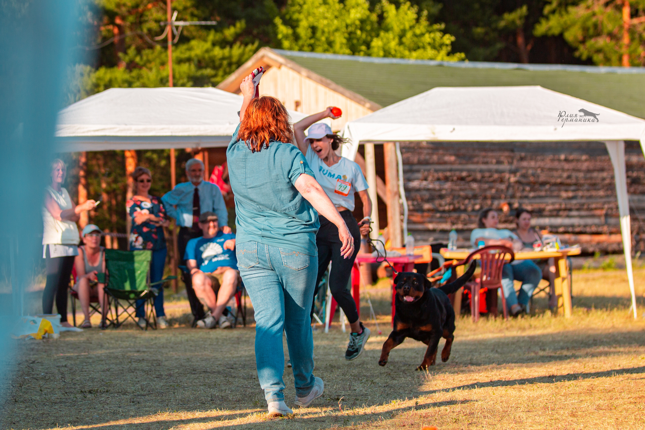 Тверь моно ротвейлеров 2-3.07.2022. Фотограф-анималист Юлия Германика