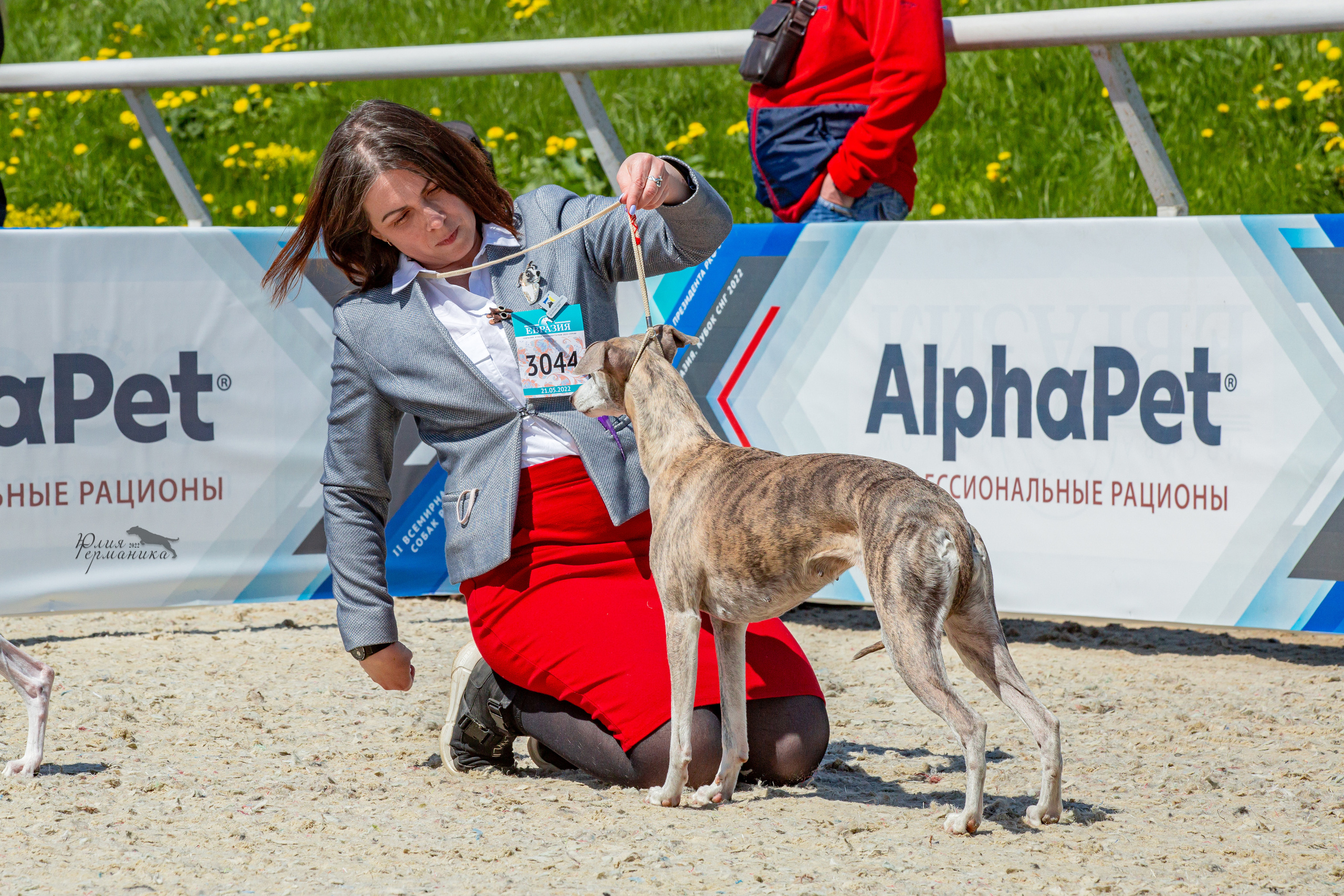 Евразия 21-22 мая 2022. Фотограф-анималист Юлия Германика