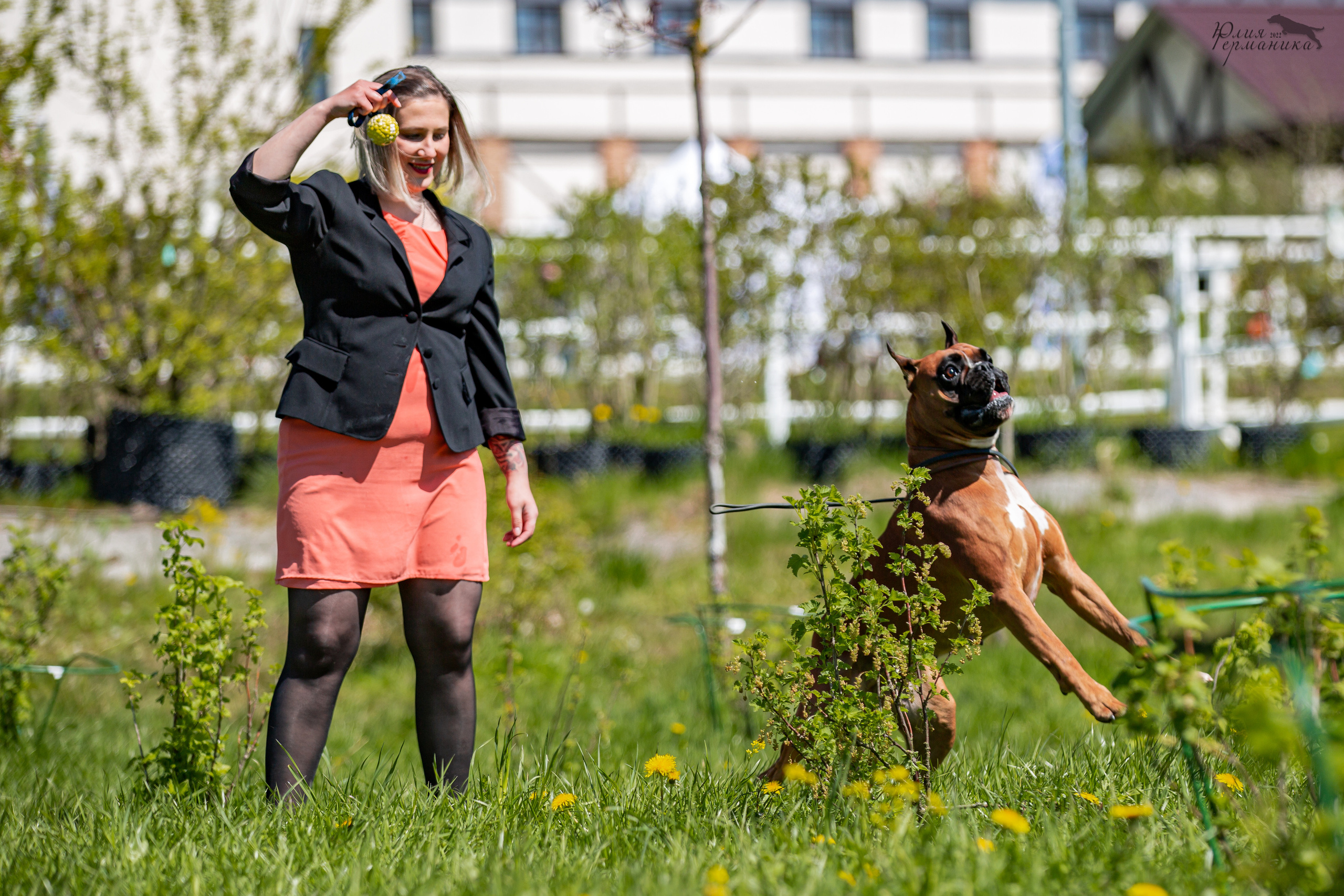 Евразия 21-22 мая 2022. Фотограф-анималист Юлия Германика