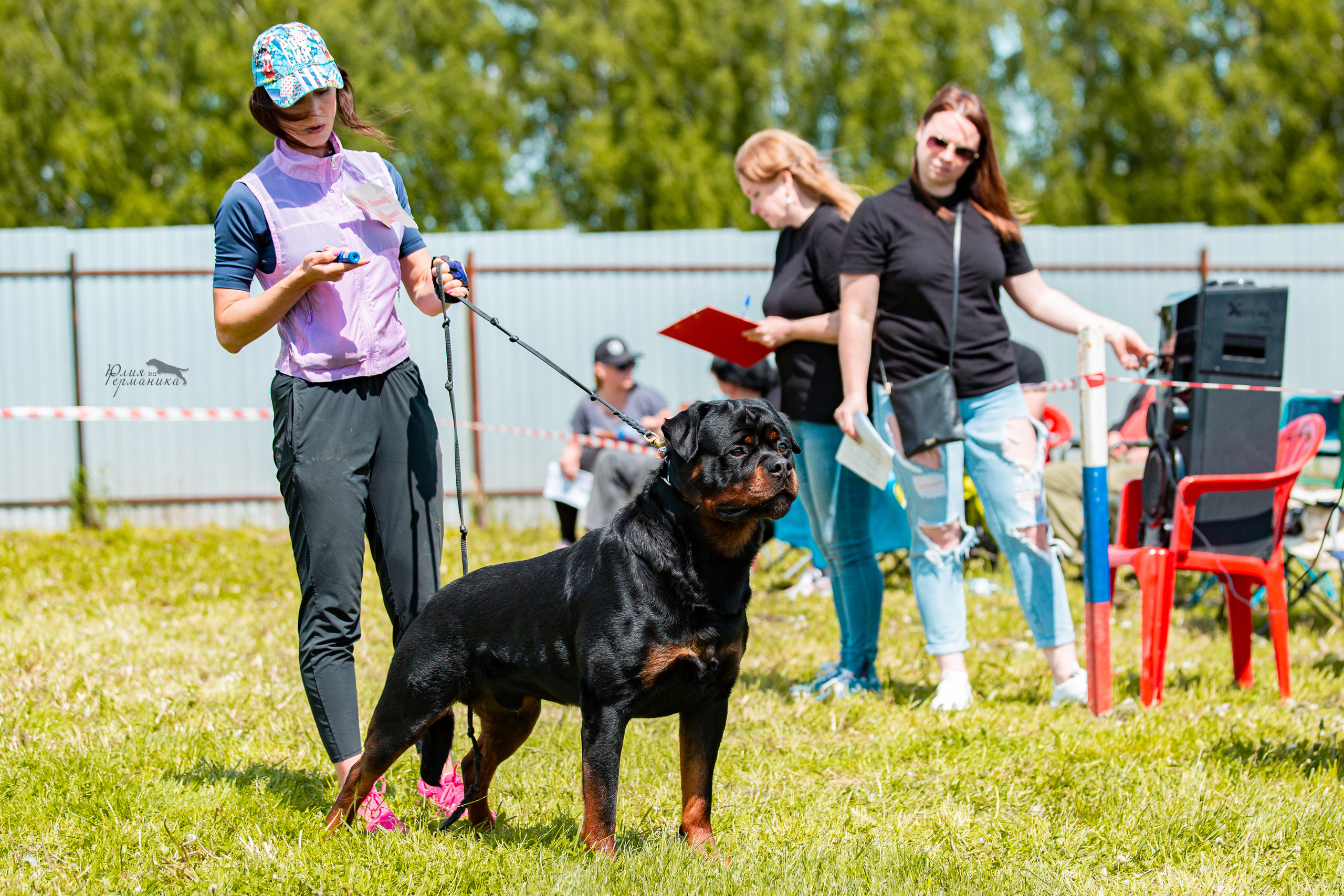 Нижний Новгород моно ротвейлеров 4 июня 2022. Фотограф-анималист Юлия Германика