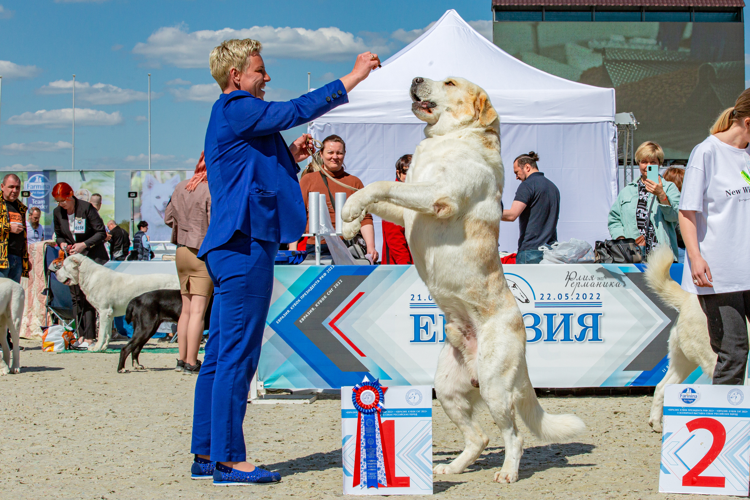 Евразия 21-22 мая 2022. Фотограф-анималист Юлия Германика