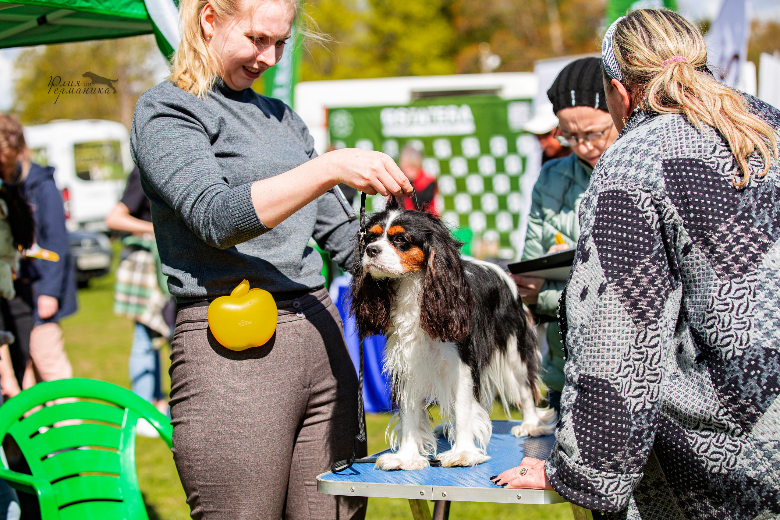 Пушкино 2хЧРКФ 14 мая 2022. Фотограф-анималист Юлия Германика