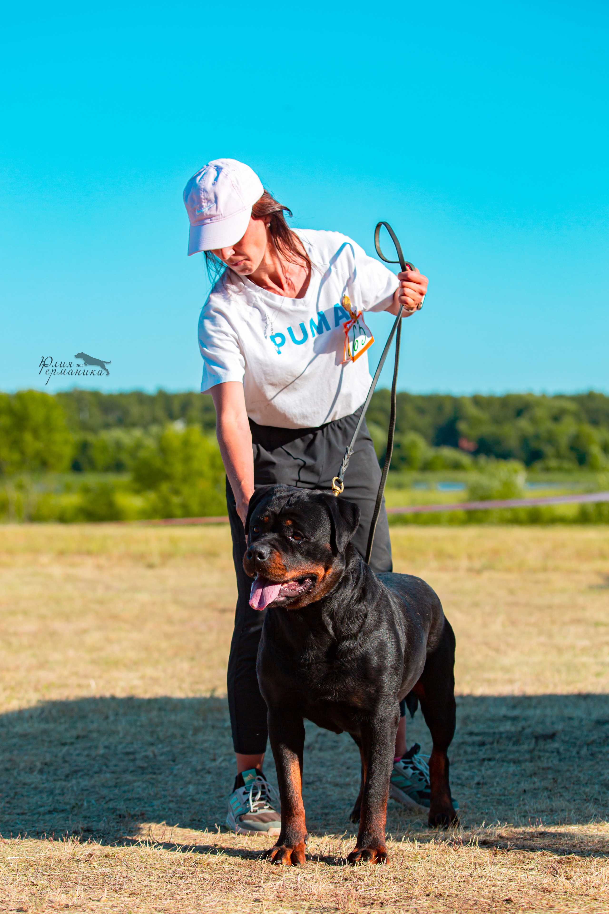 Тверь моно ротвейлеров 2-3.07.2022. Фотограф-анималист Юлия Германика