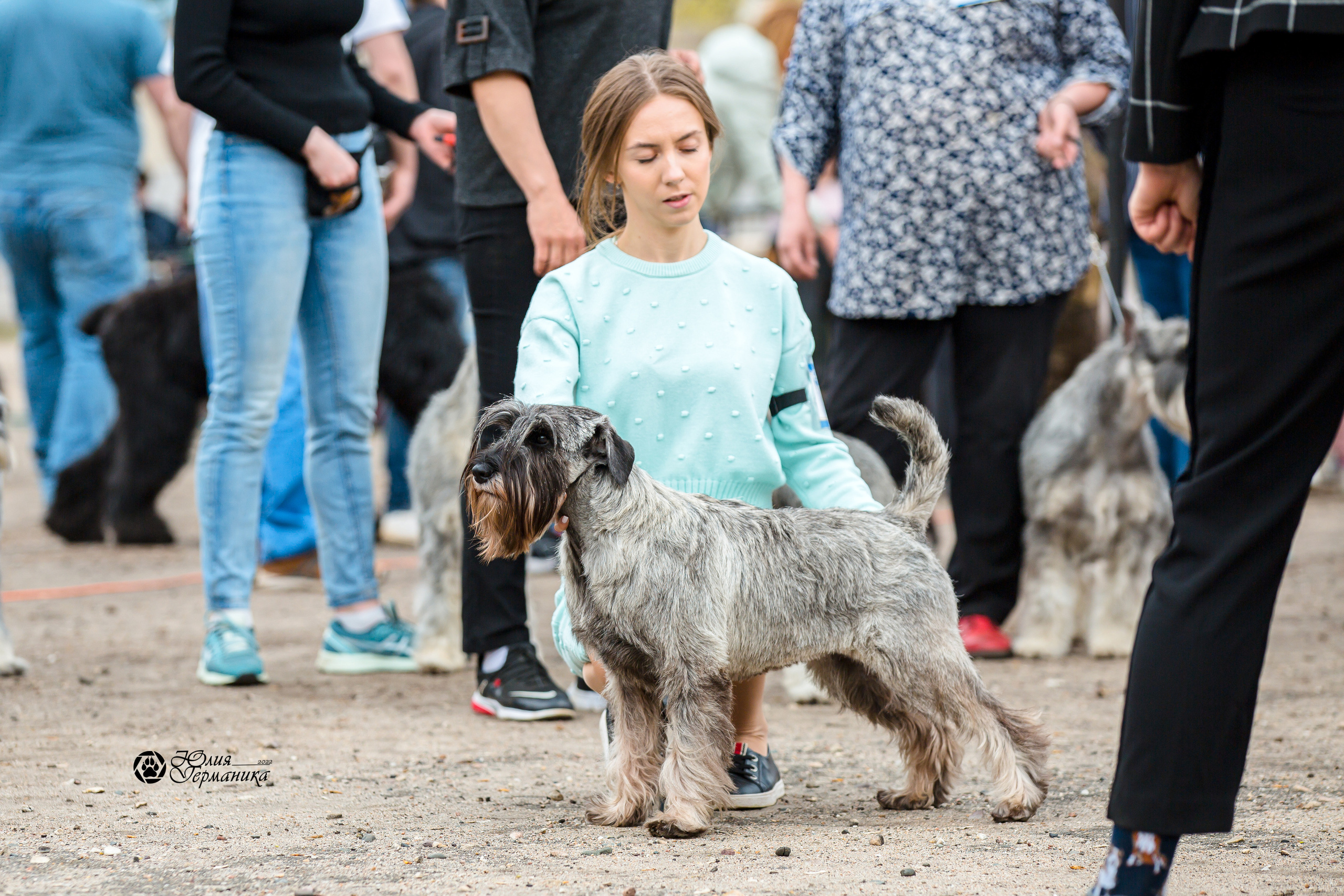 Александров 2хСАС 8 мая 2022. Фотограф-анималист Юлия Германика