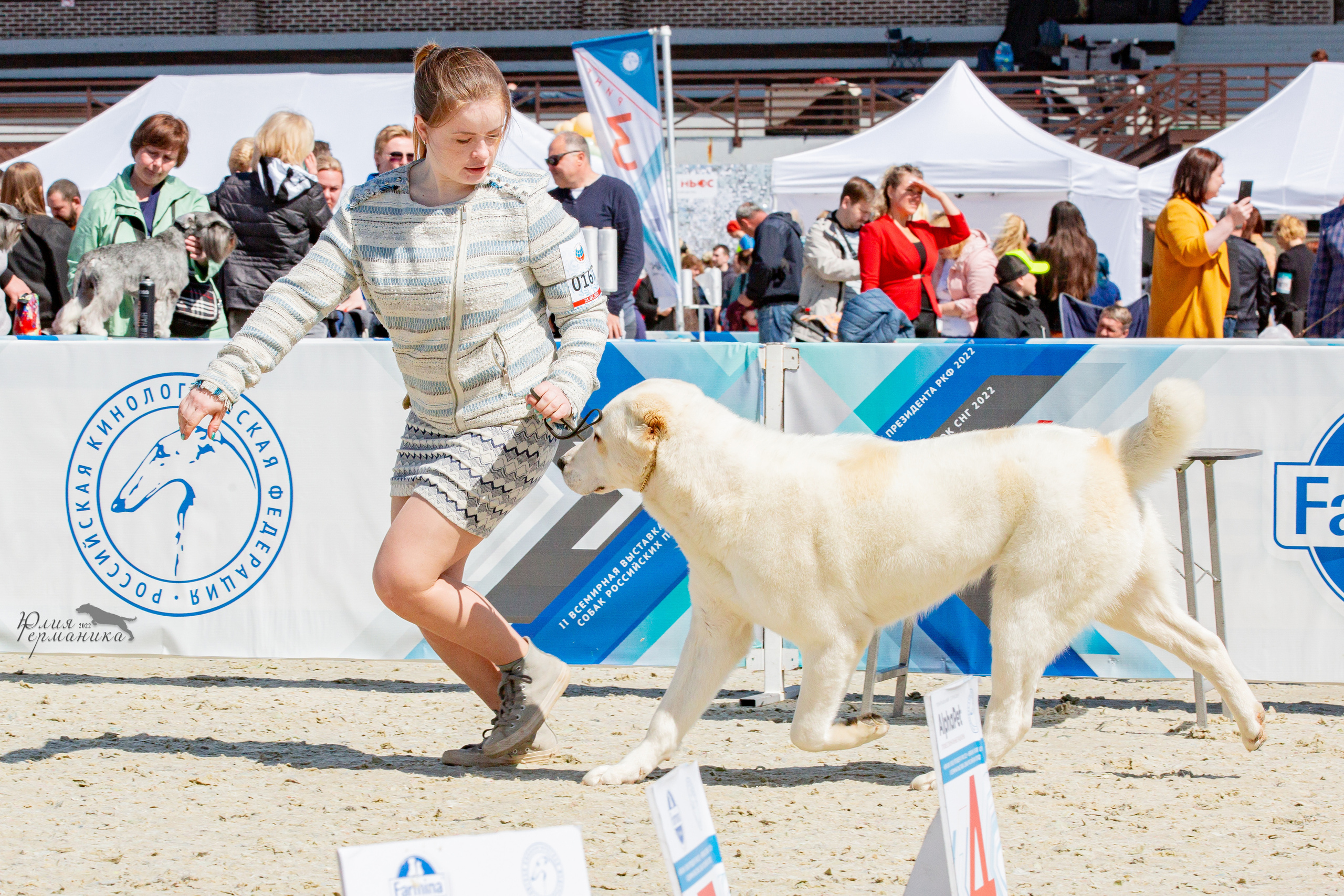 Евразия 21-22 мая 2022. Фотограф-анималист Юлия Германика