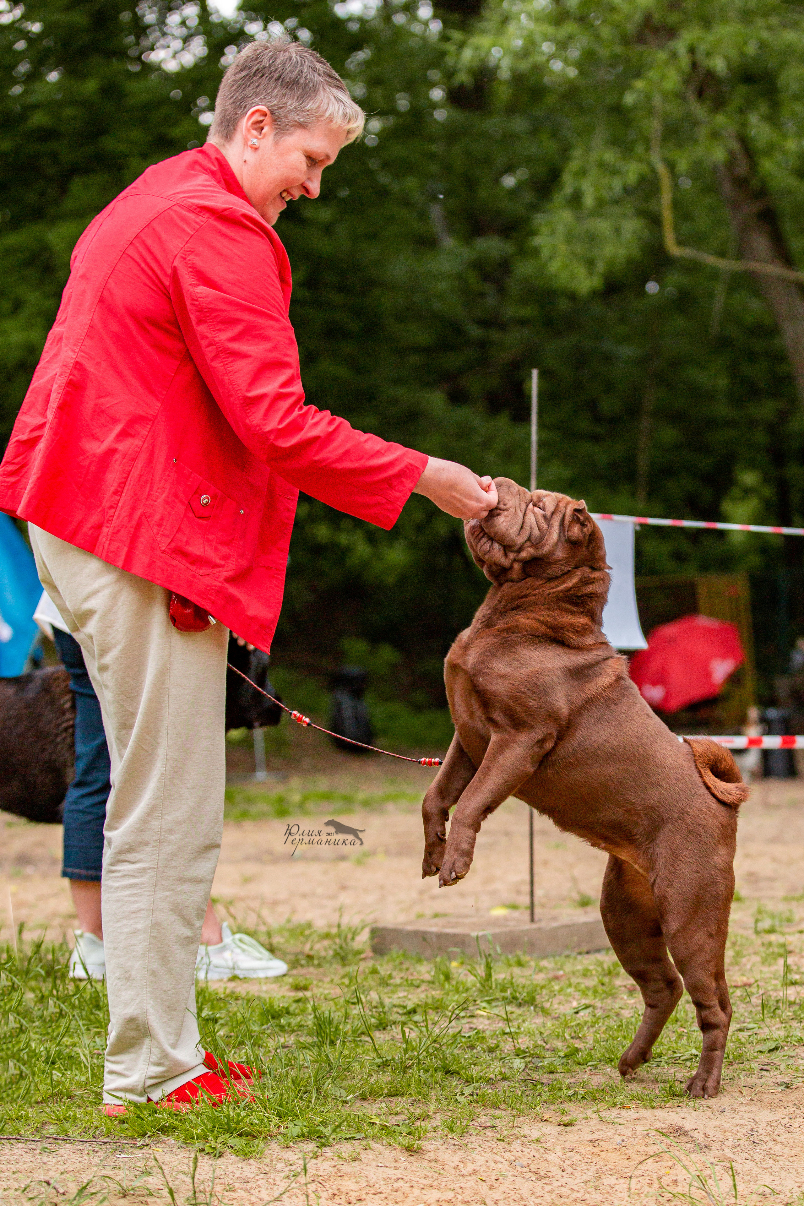 Смоленск 12.06,   Ховрино 13.06,    Питер 18.06 2022. Фотограф-анималист Юлия Германика