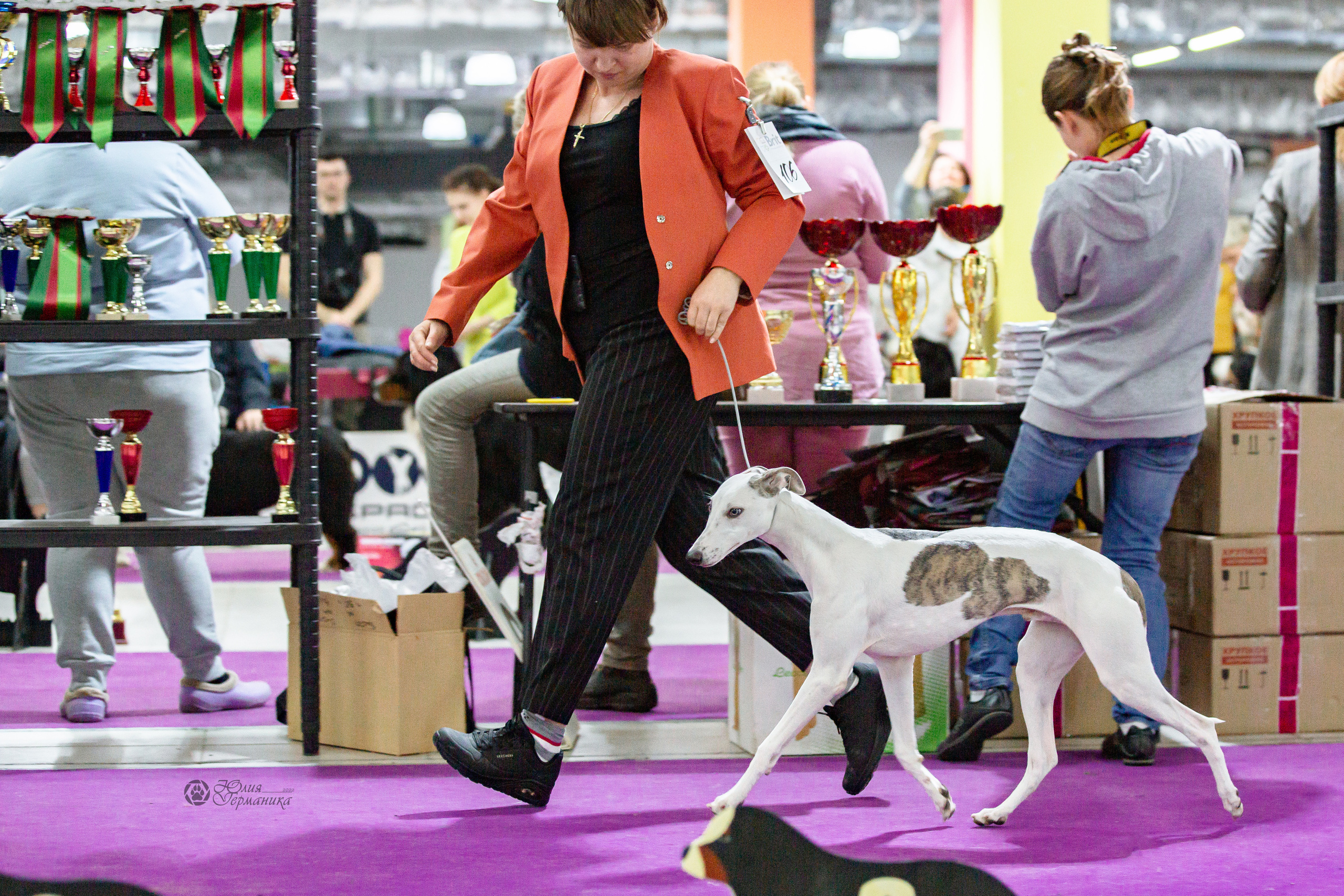 Чайна-Таун 16-17 апреля 2022. Фотограф-анималист Юлия Германика