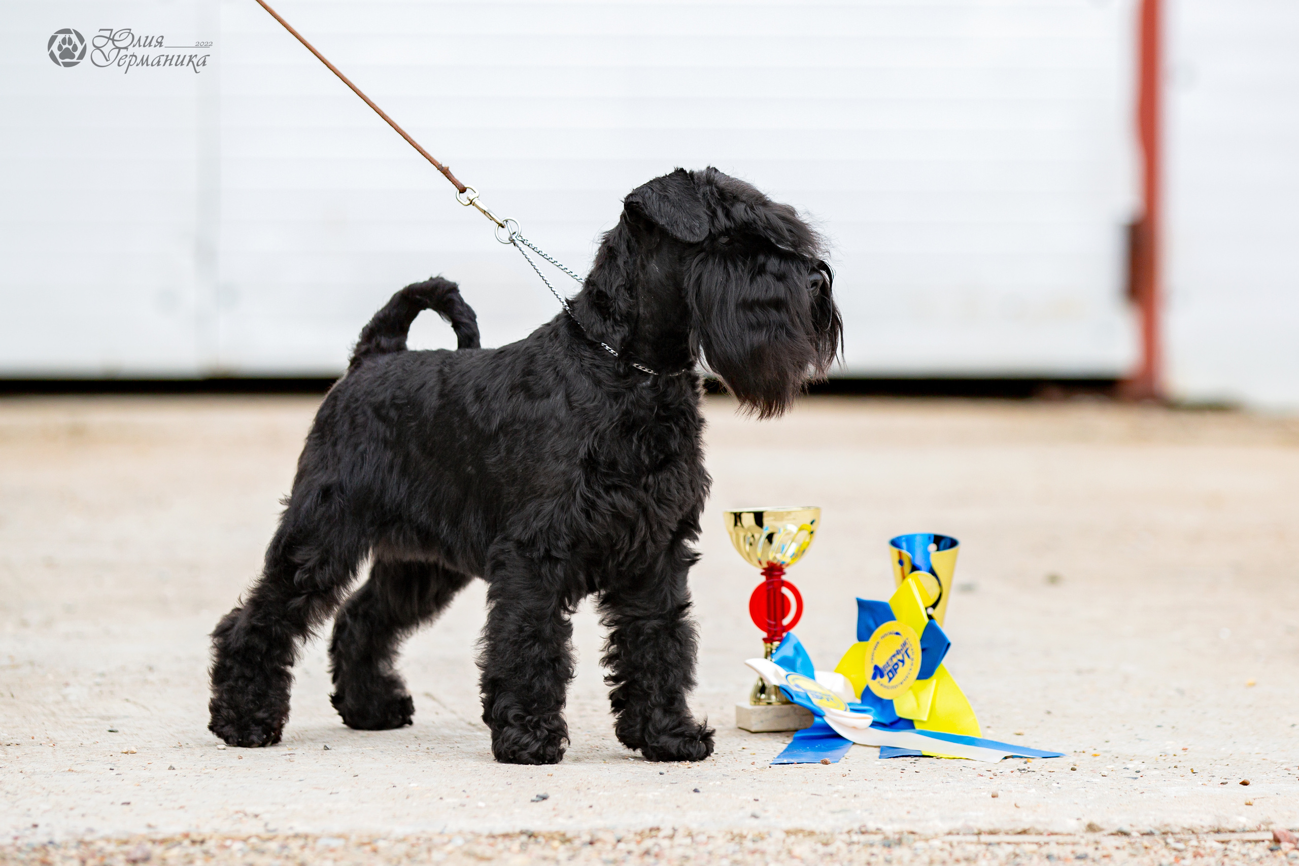 Сергиев Посад 23.04.2022. Фотограф-анималист Юлия Германика