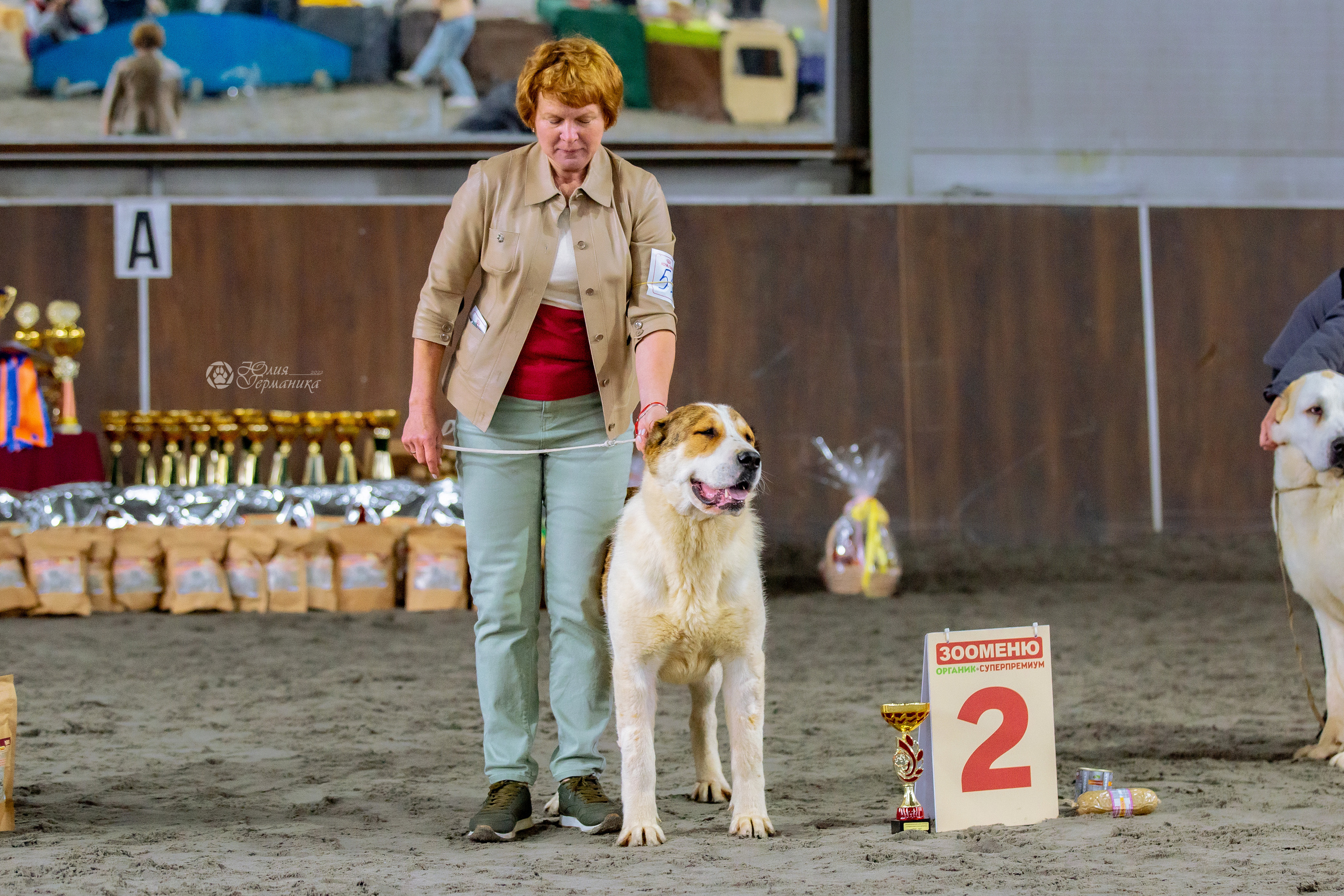 Националка САО+КЧК 24 апреля 2022. Фотограф-анималист Юлия Германика