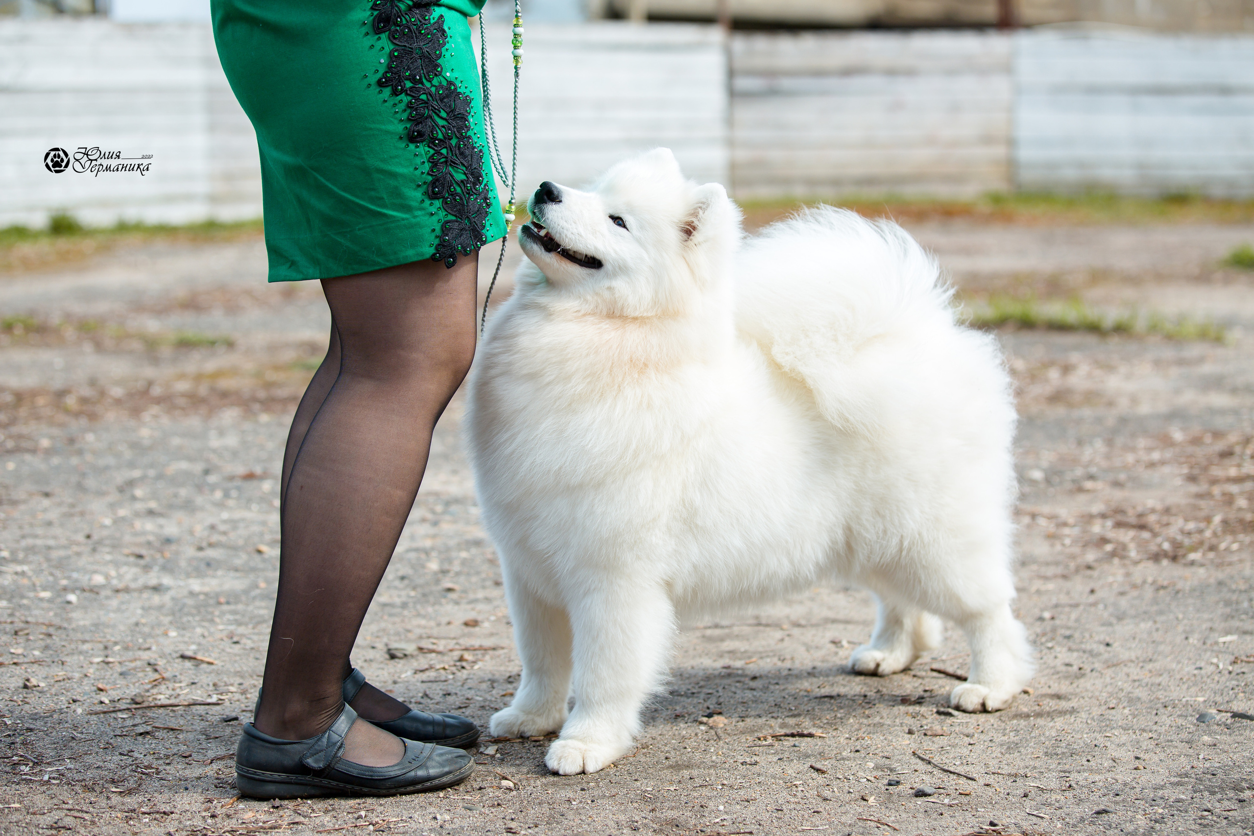 Александров 2хСАС 8 мая 2022. Фотограф-анималист Юлия Германика