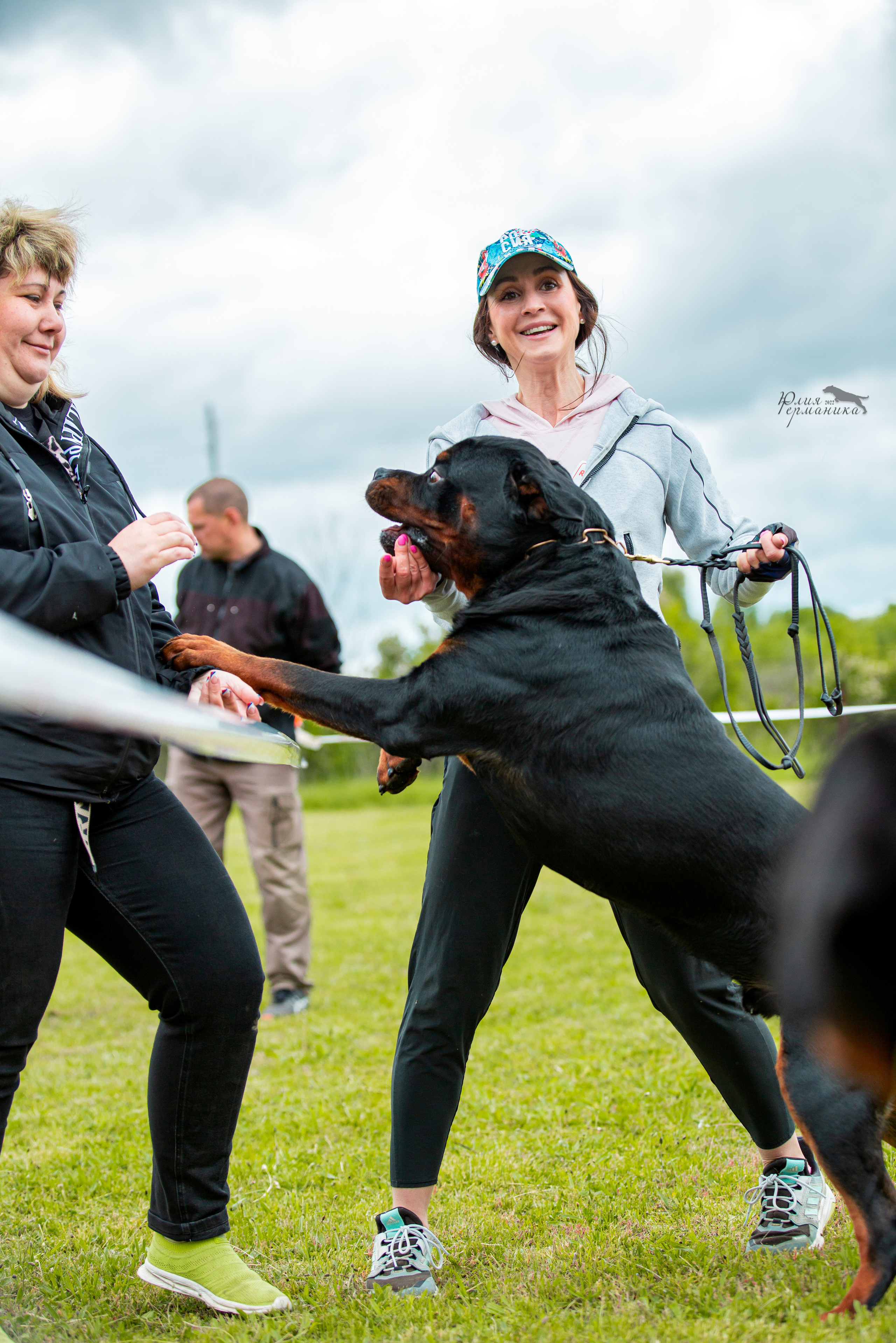 Воронеж моно ротвейлеров 28-29 мая 2022. Фотограф-анималист Юлия Германика