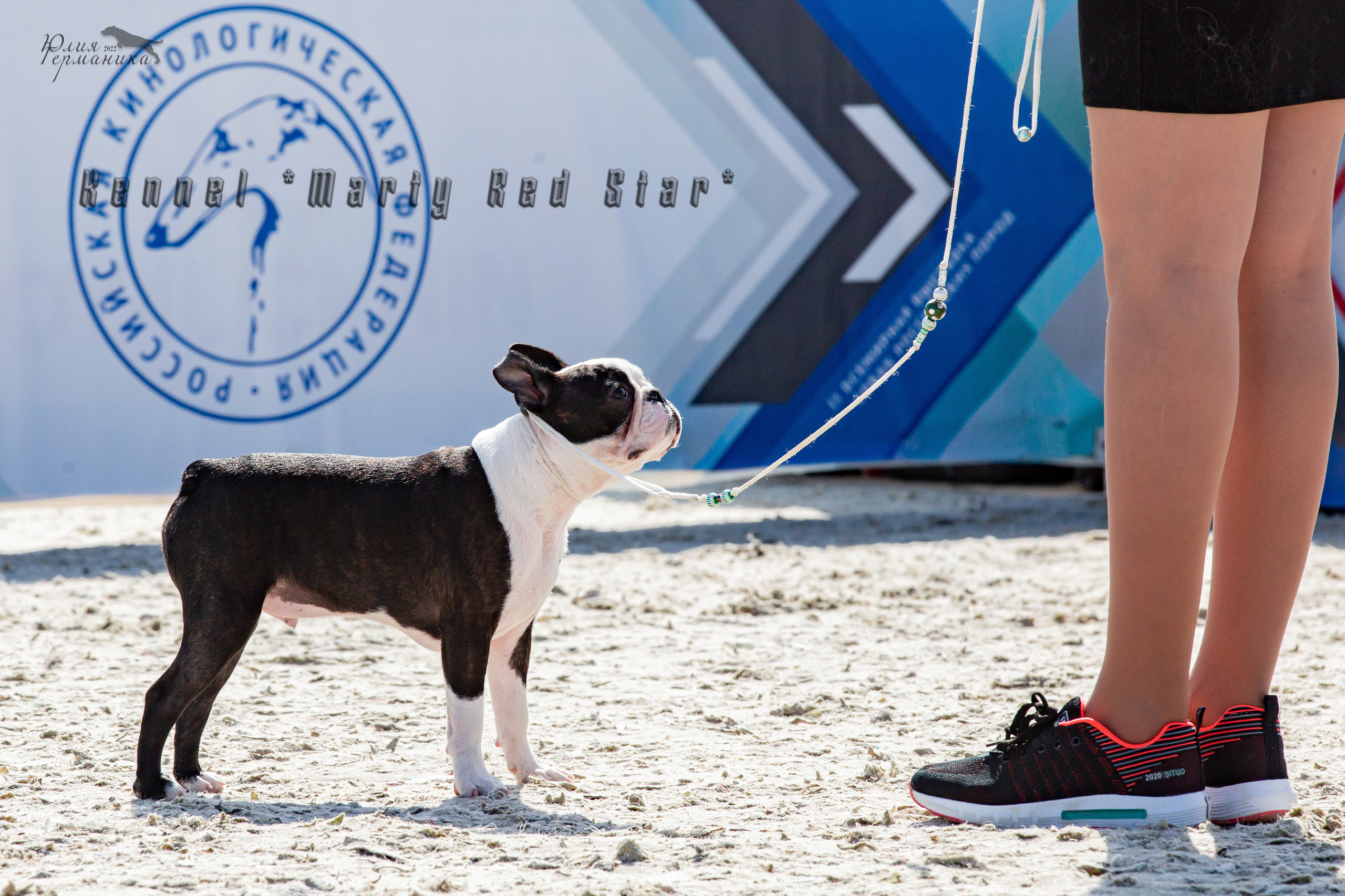 Евразия 21-22 мая 2022. Фотограф-анималист Юлия Германика