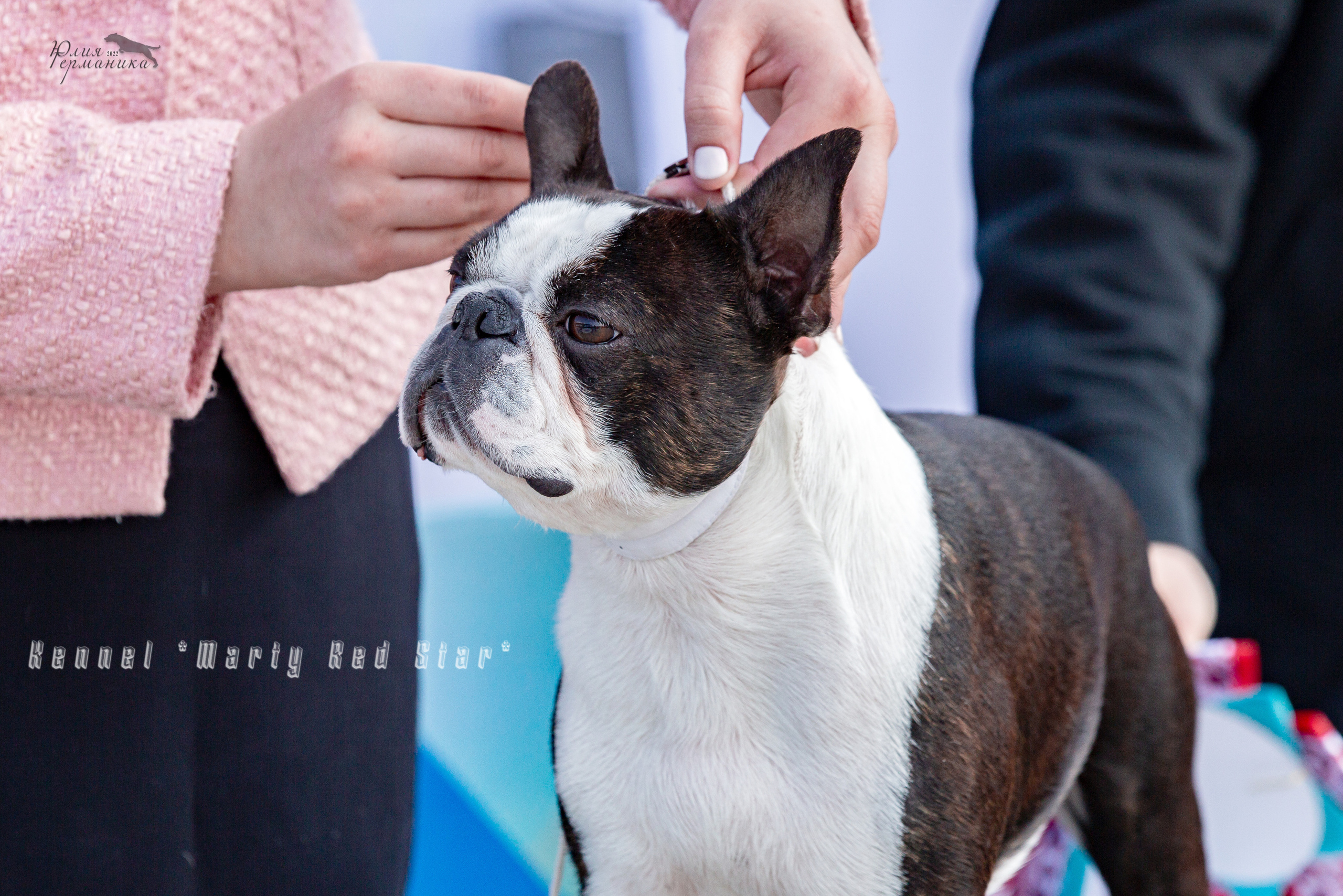 Евразия 21-22 мая 2022. Фотограф-анималист Юлия Германика