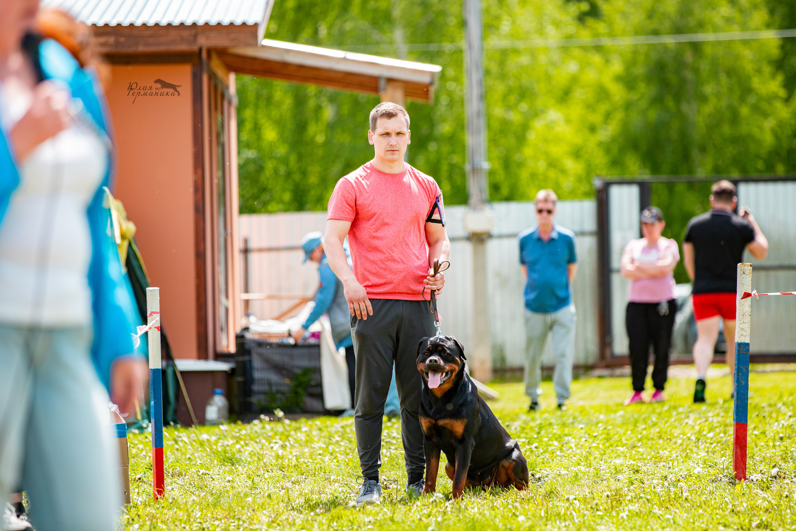 Нижний Новгород моно ротвейлеров 4 июня 2022. Фотограф-анималист Юлия Германика