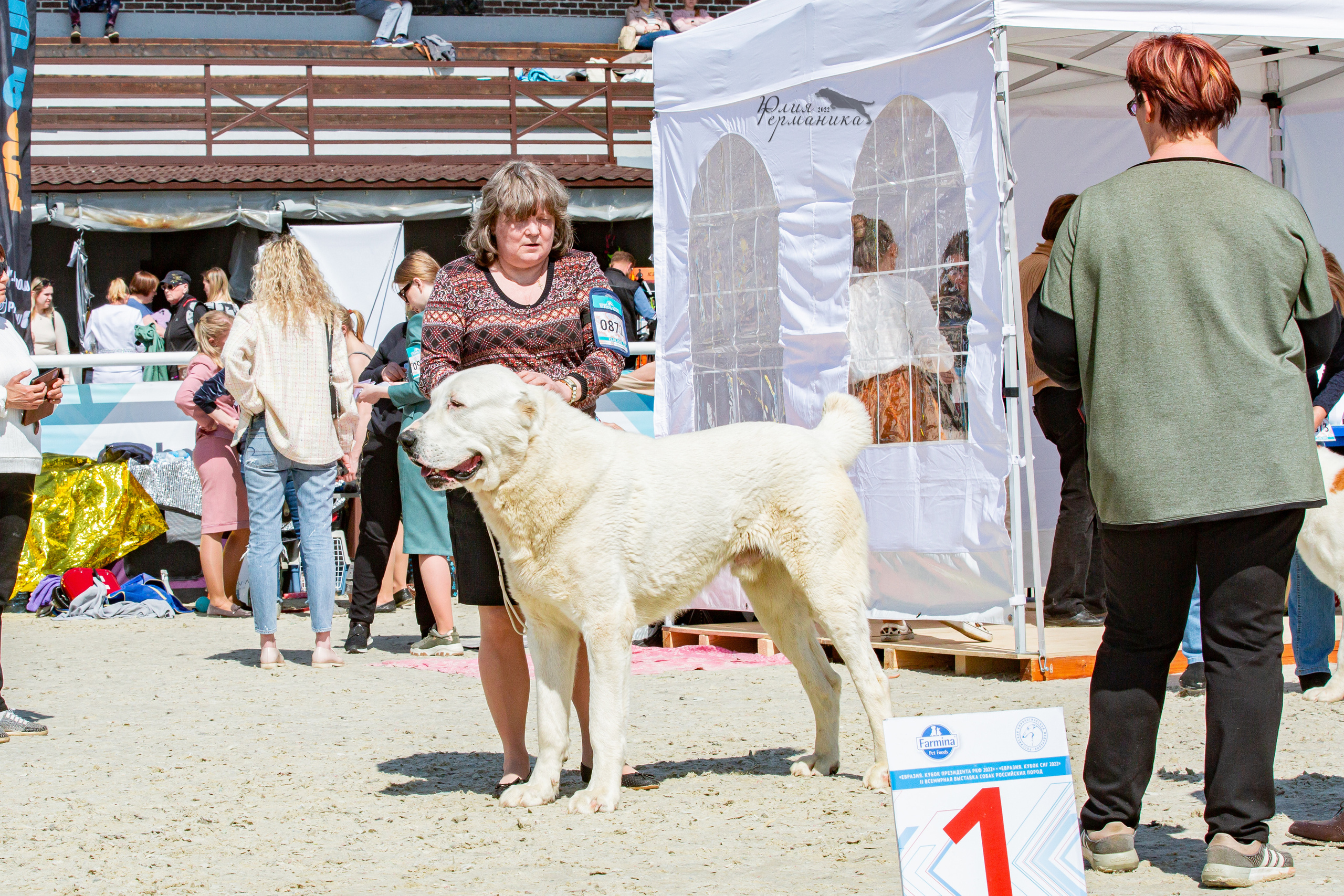 Евразия 21-22 мая 2022. Фотограф-анималист Юлия Германика