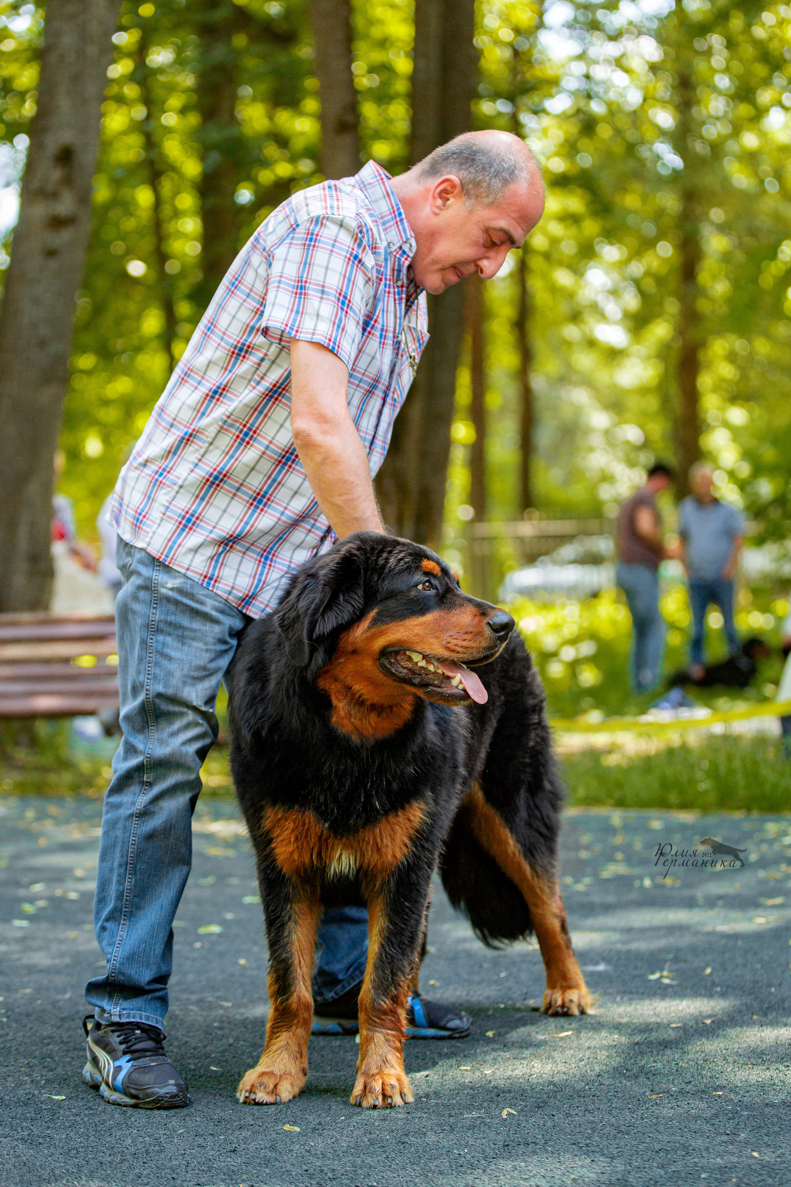 Сергиев Посад 2хСАС 25.06.2022. Фотограф-анималист Юлия Германика