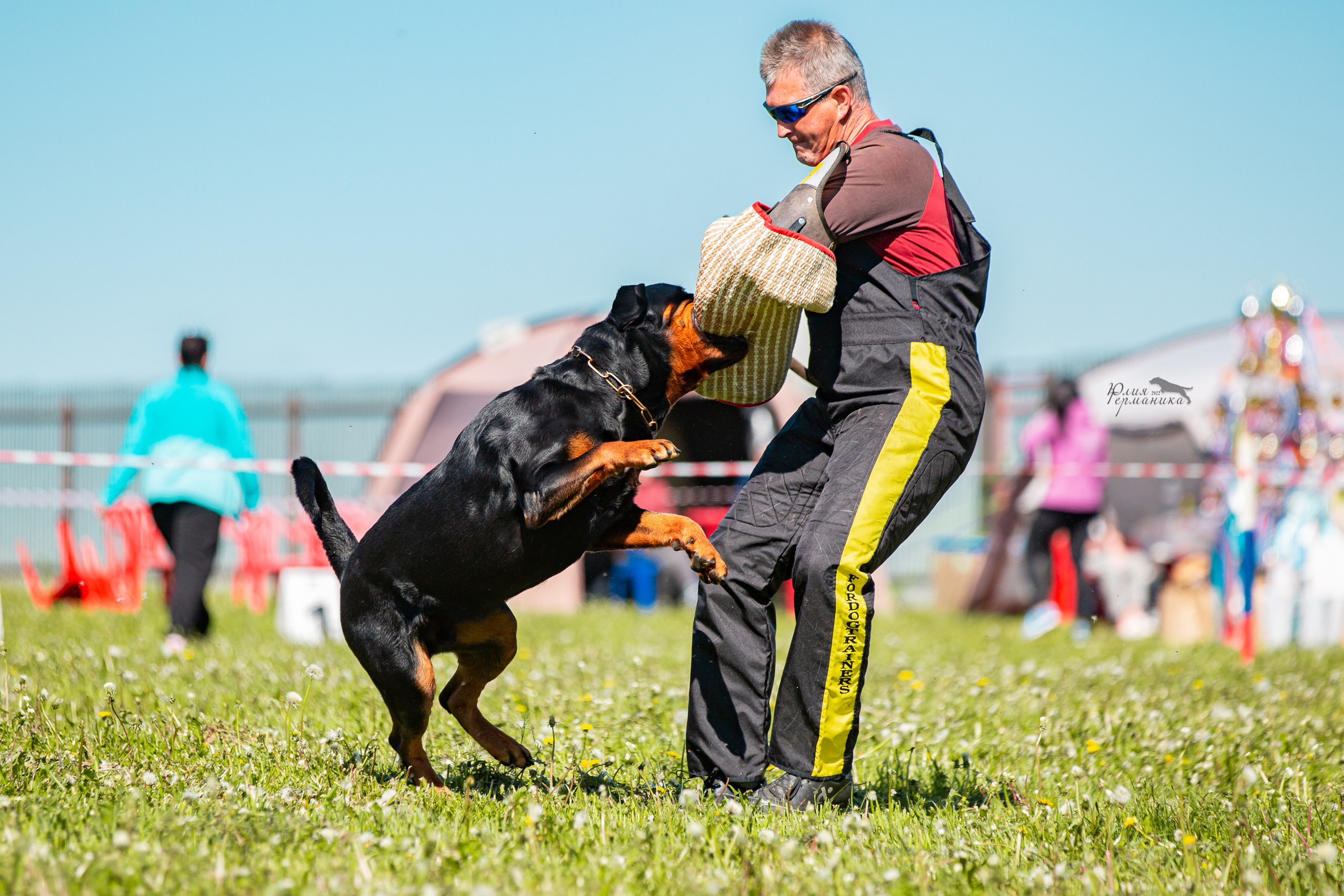 Нижний Новгород моно ротвейлеров 4 июня 2022. Фотограф-анималист Юлия Германика