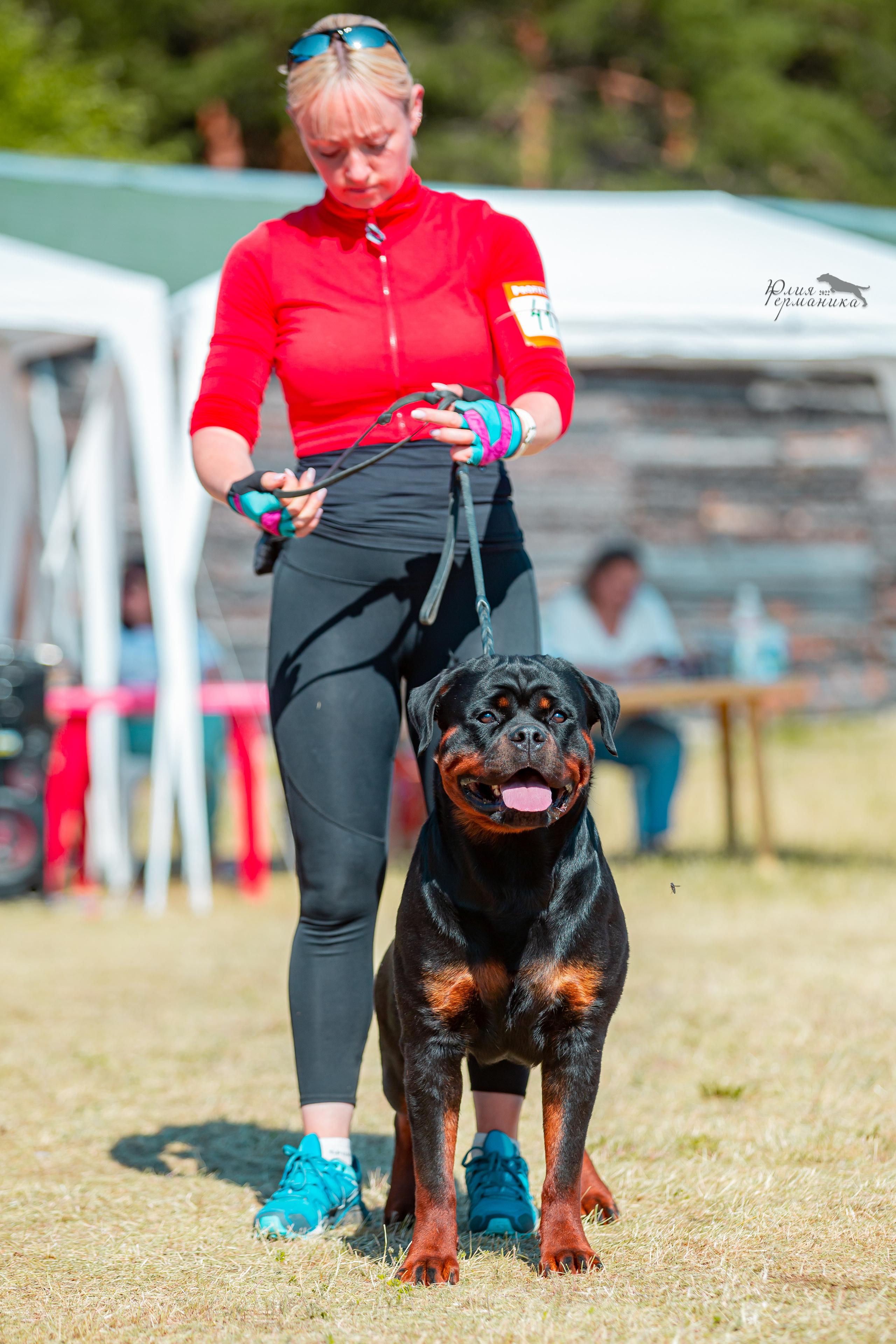 Тверь моно ротвейлеров 2-3.07.2022. Фотограф-анималист Юлия Германика