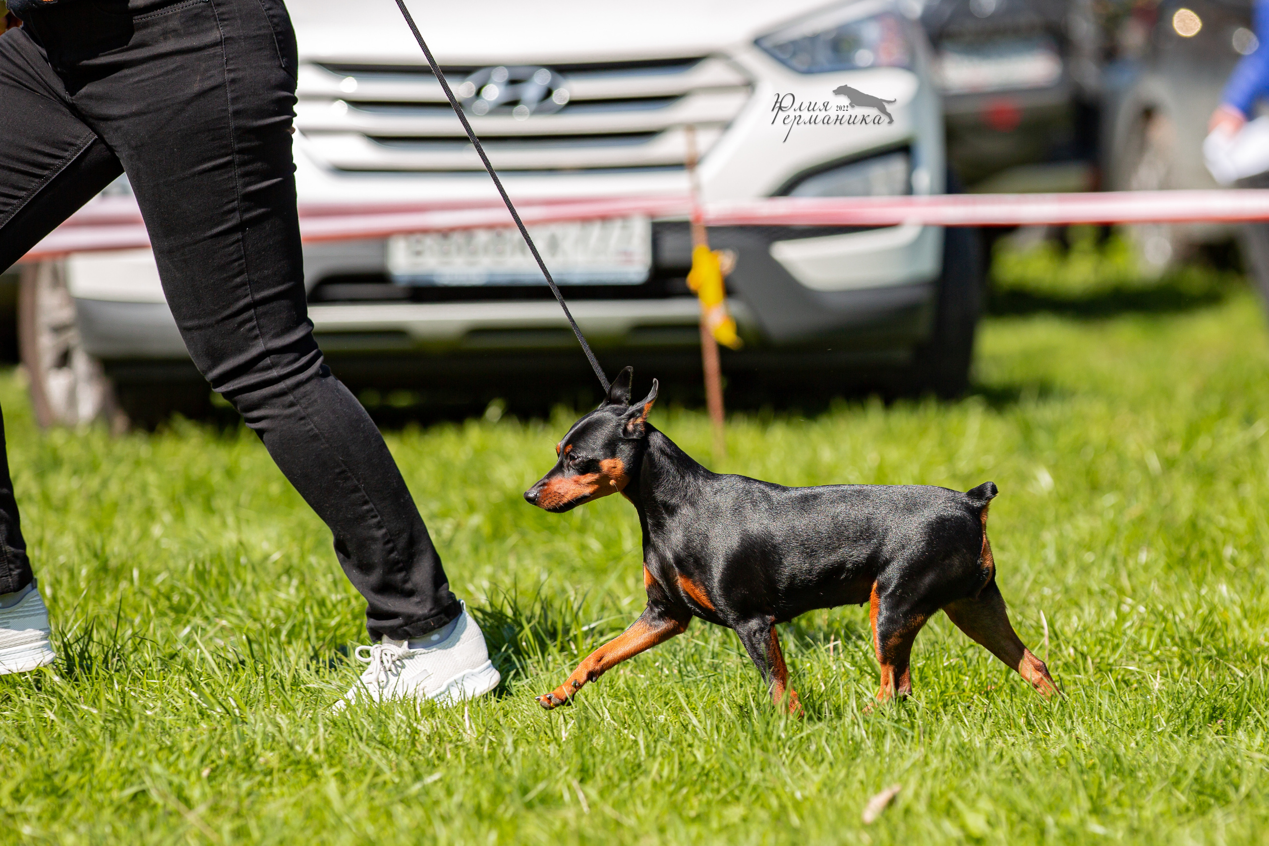 Пушкино 2хЧРКФ 14 мая 2022. Фотограф-анималист Юлия Германика