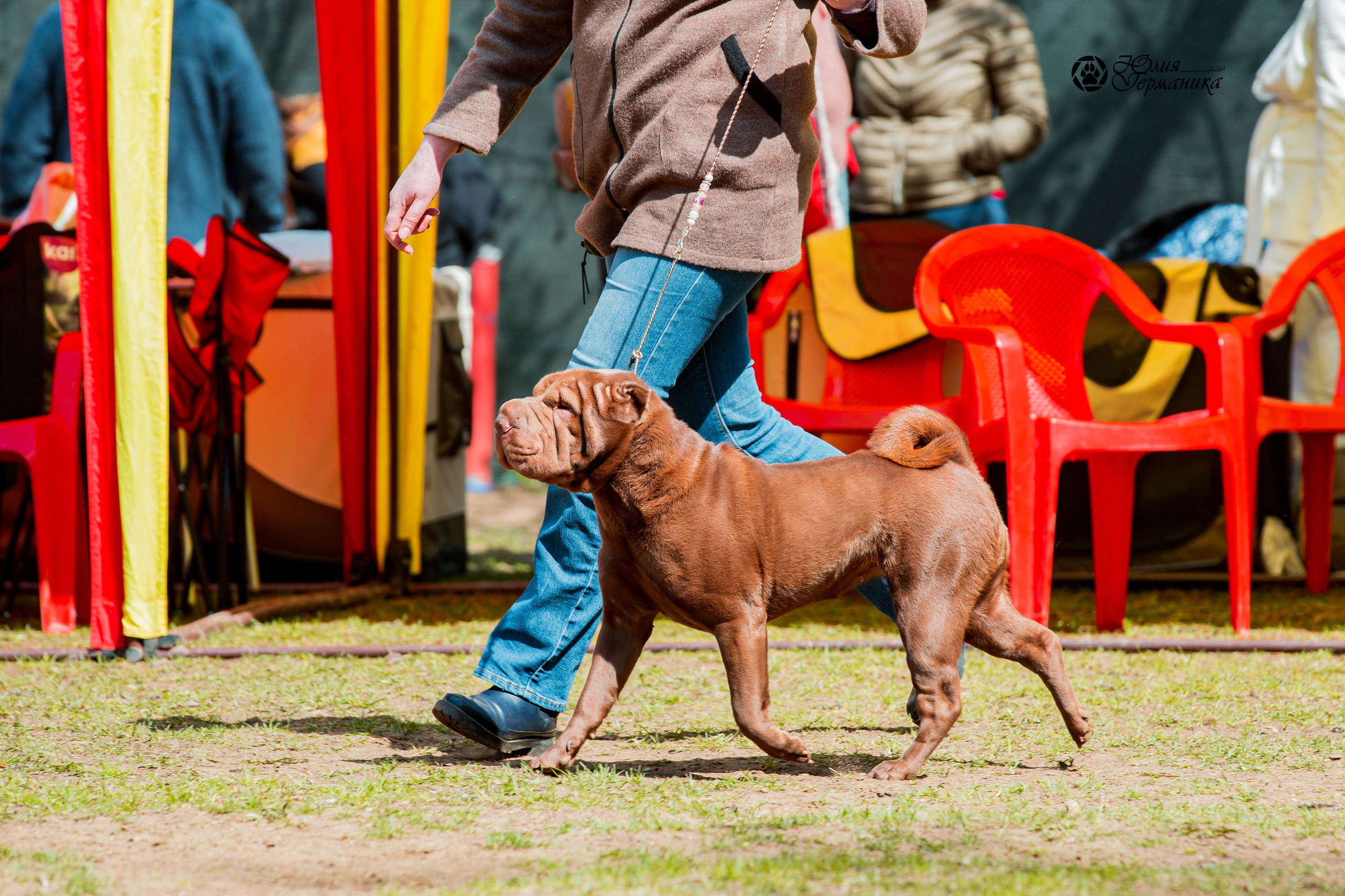 Сокольники 1 мая 2022. Фотограф-анималист Юлия Германика