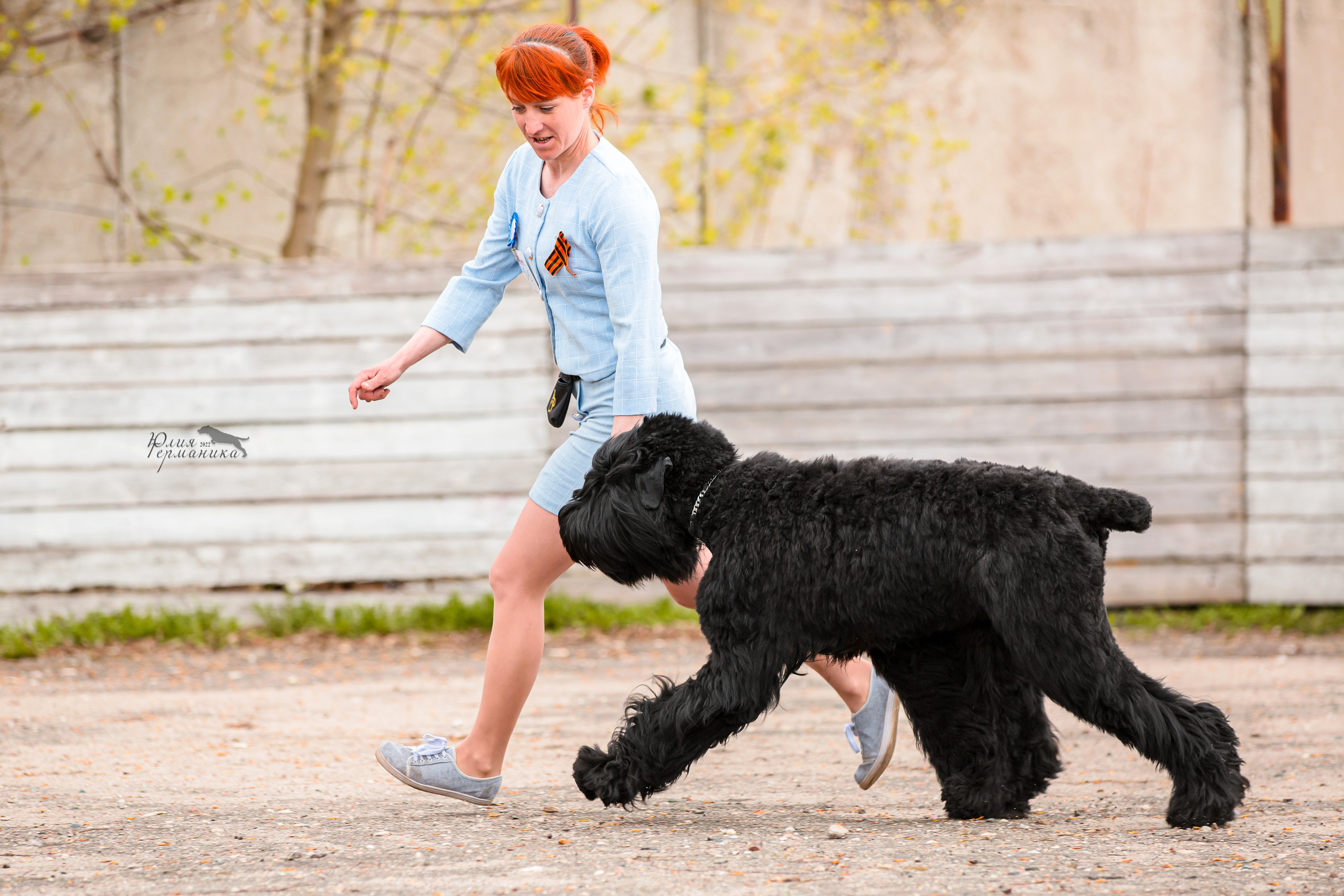 Александров 2хСАС 8 мая 2022. Фотограф-анималист Юлия Германика