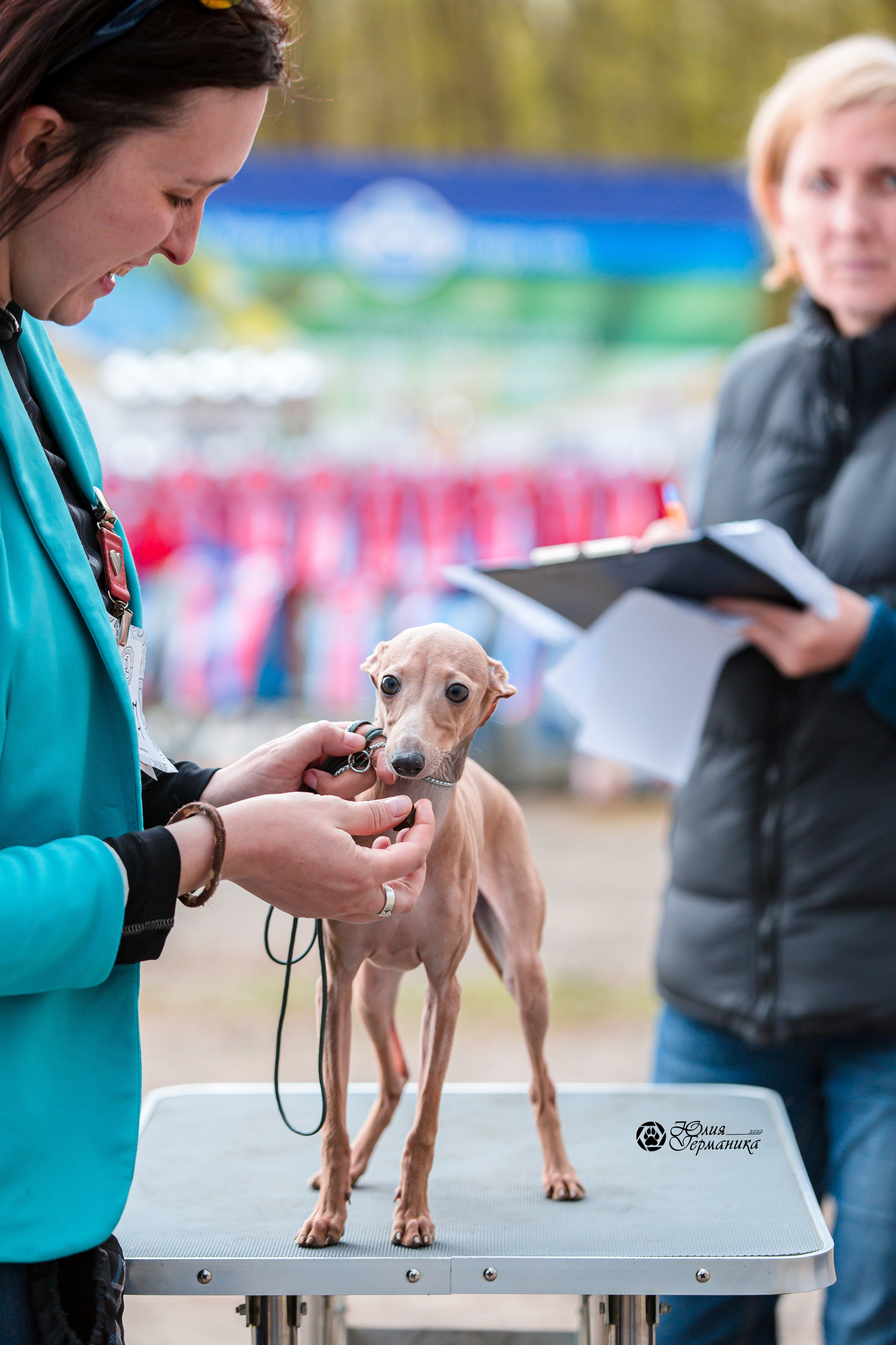 Александров 2хСАС 8 мая 2022. Фотограф-анималист Юлия Германика