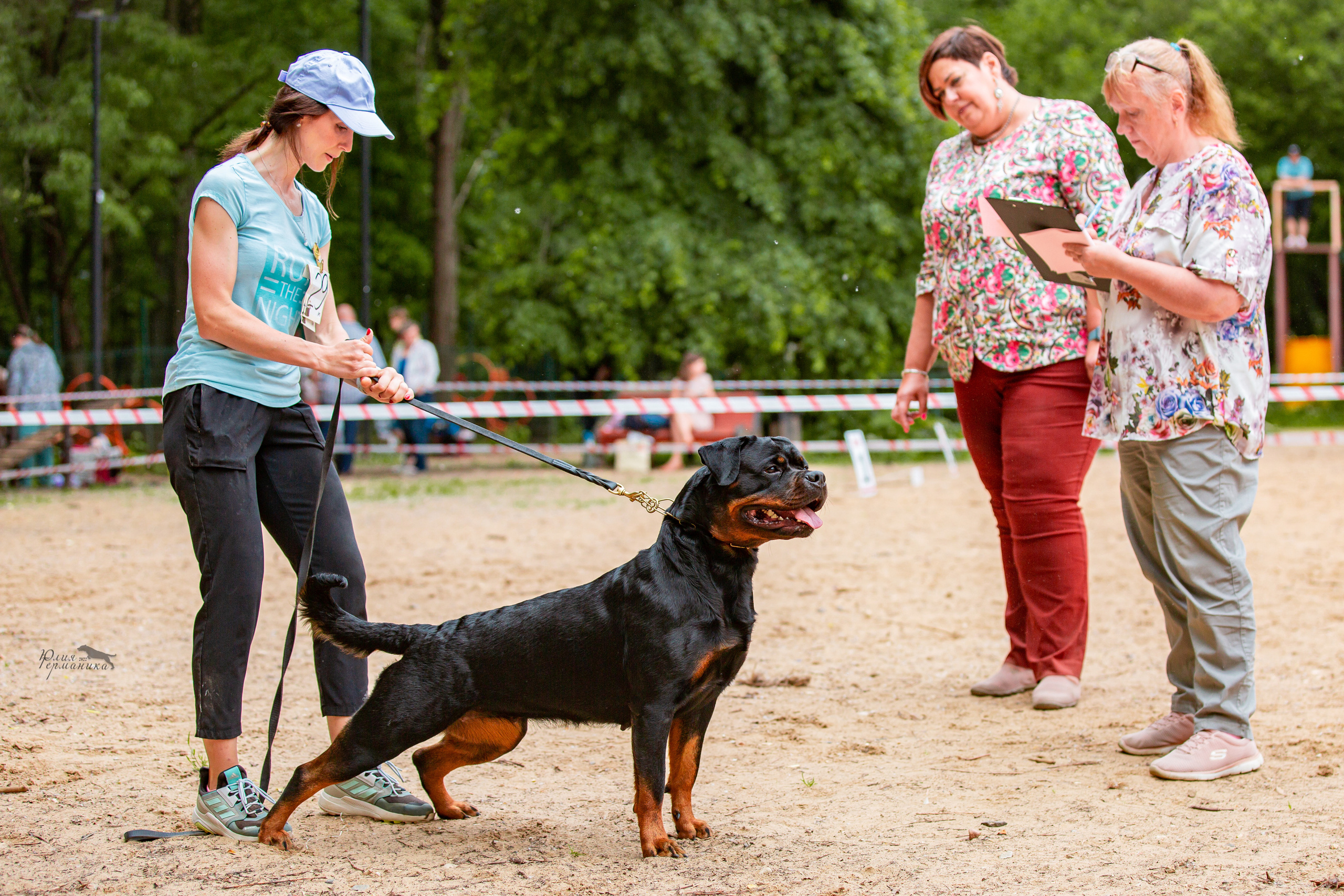Смоленск 12.06,   Ховрино 13.06,    Питер 18.06 2022. Фотограф-анималист Юлия Германика