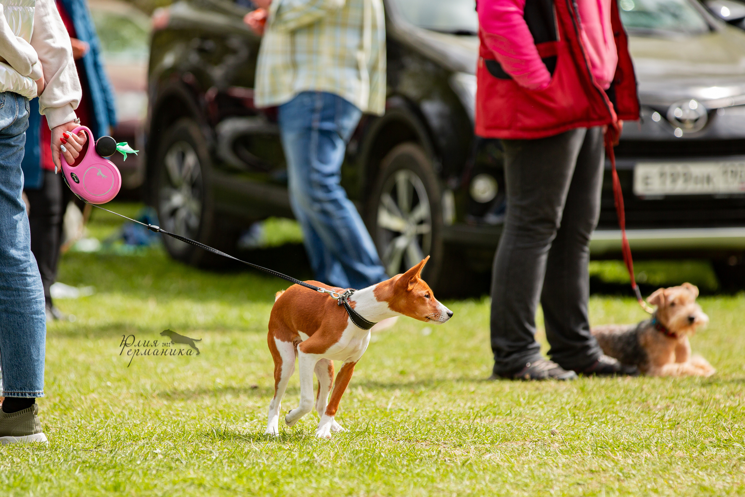 Пушкино 2хЧРКФ 14 мая 2022. Фотограф-анималист Юлия Германика