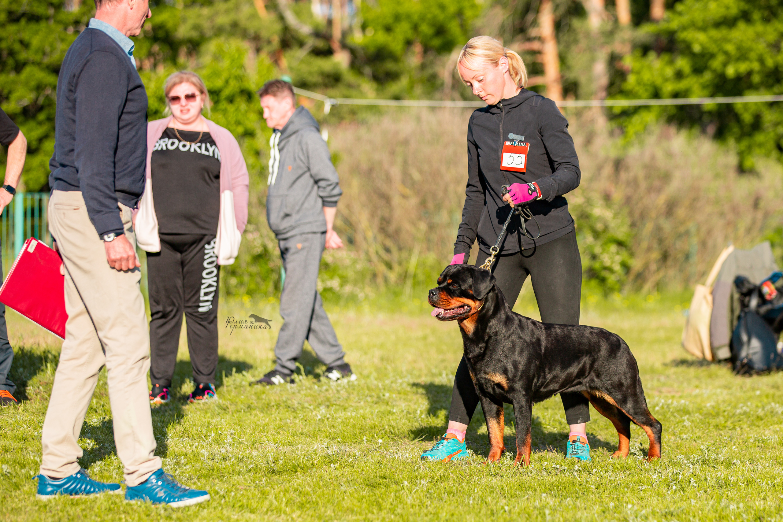 Воронеж моно ротвейлеров 28-29 мая 2022. Фотограф-анималист Юлия Германика