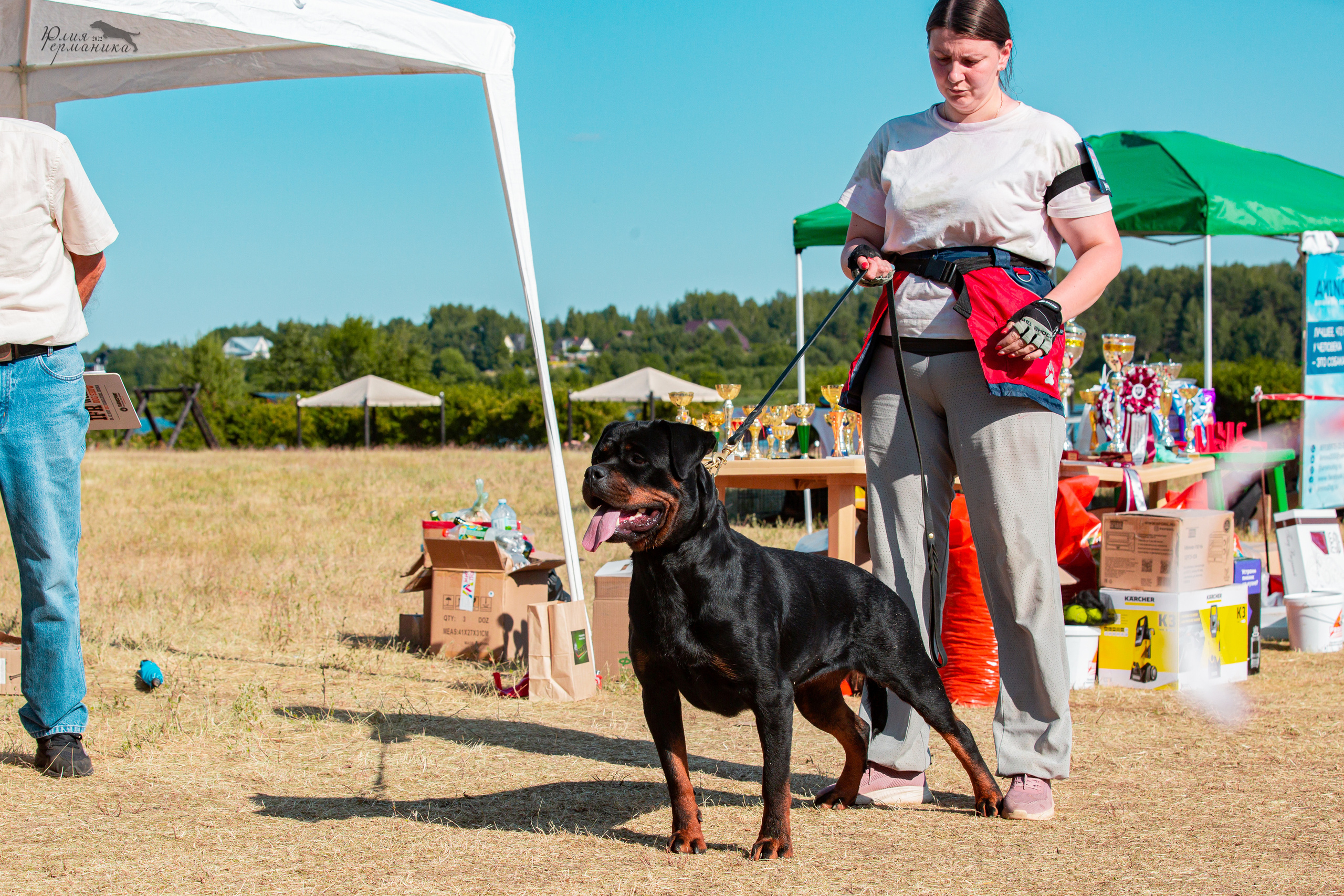 Тверь моно ротвейлеров 2-3.07.2022. Фотограф-анималист Юлия Германика