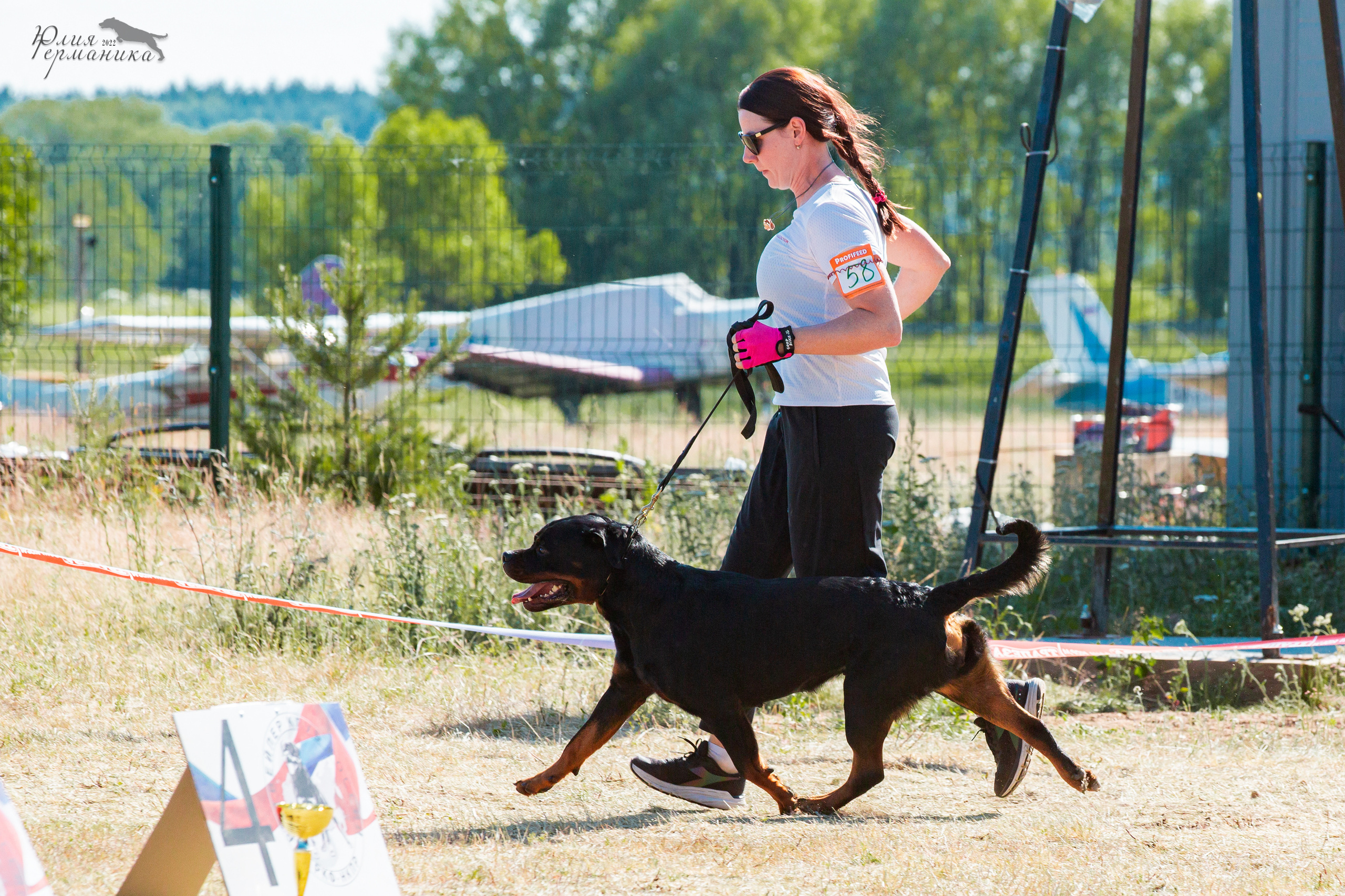 Тверь моно ротвейлеров 2-3.07.2022. Фотограф-анималист Юлия Германика