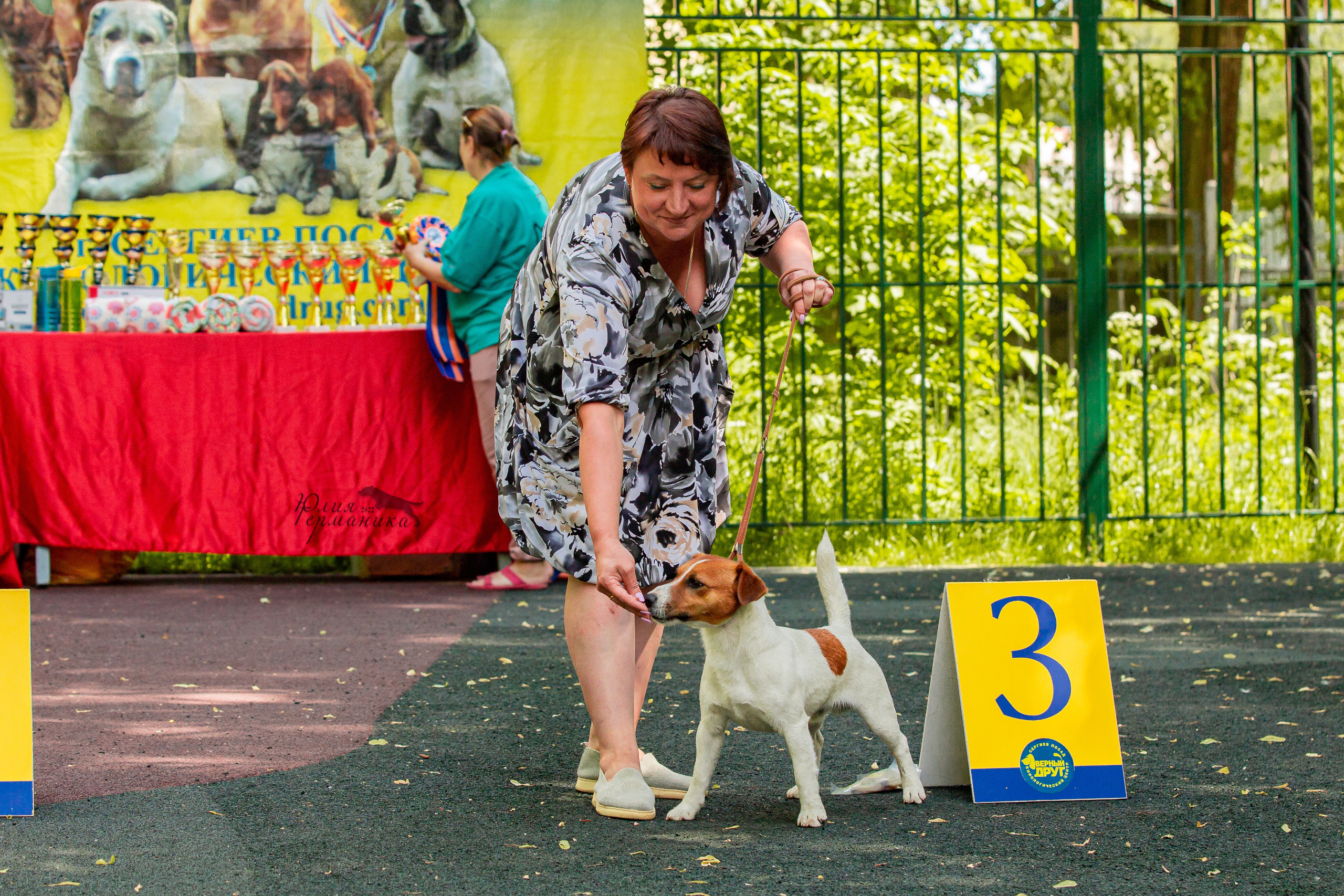 Сергиев Посад 2хСАС 25.06.2022. Фотограф-анималист Юлия Германика