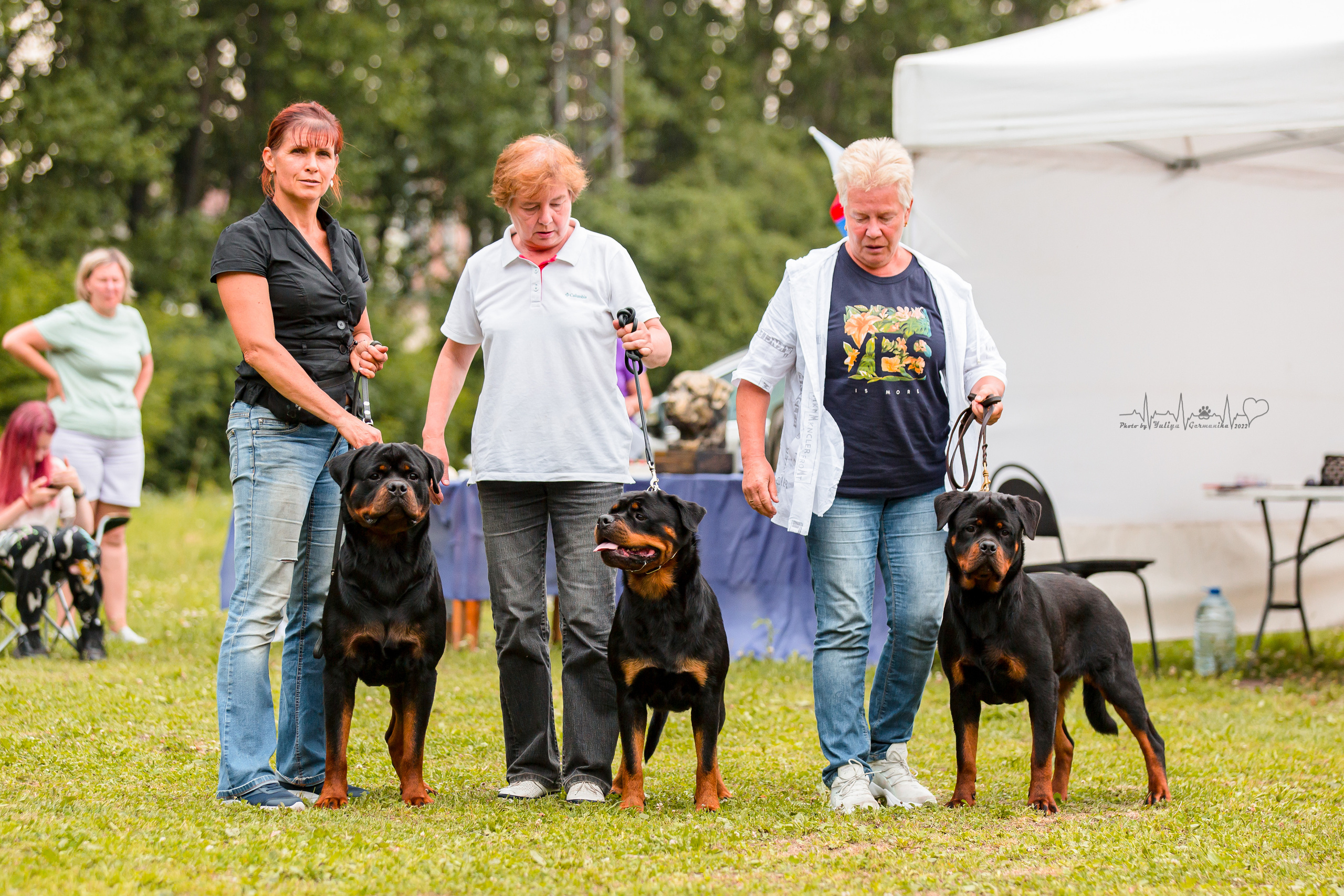 Санкт-Петербург моно ротвейлеров 23.07.2022. Фотограф-анималист Юлия Германика