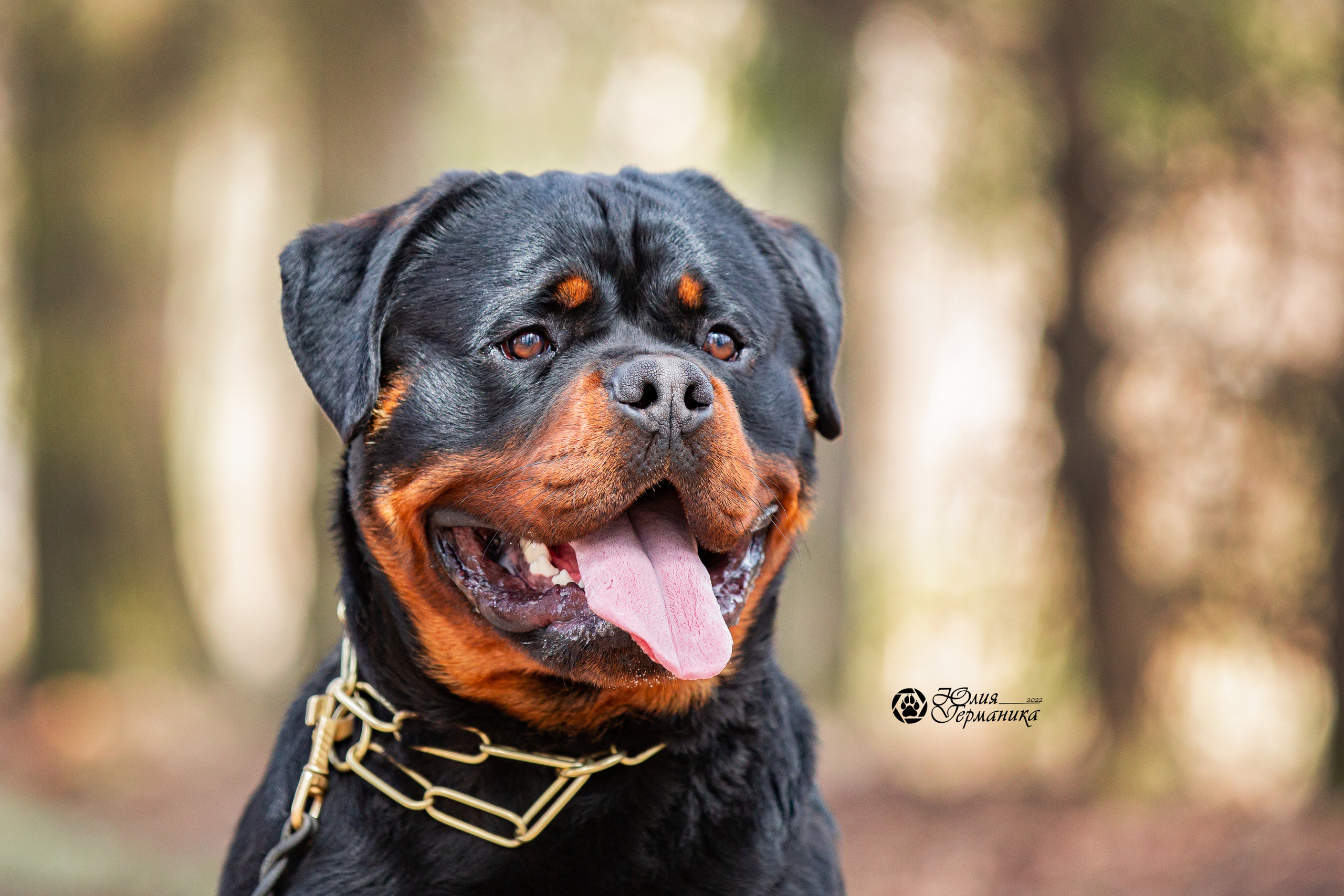 Свободная съемка. Фотограф-анималист Юлия Германика