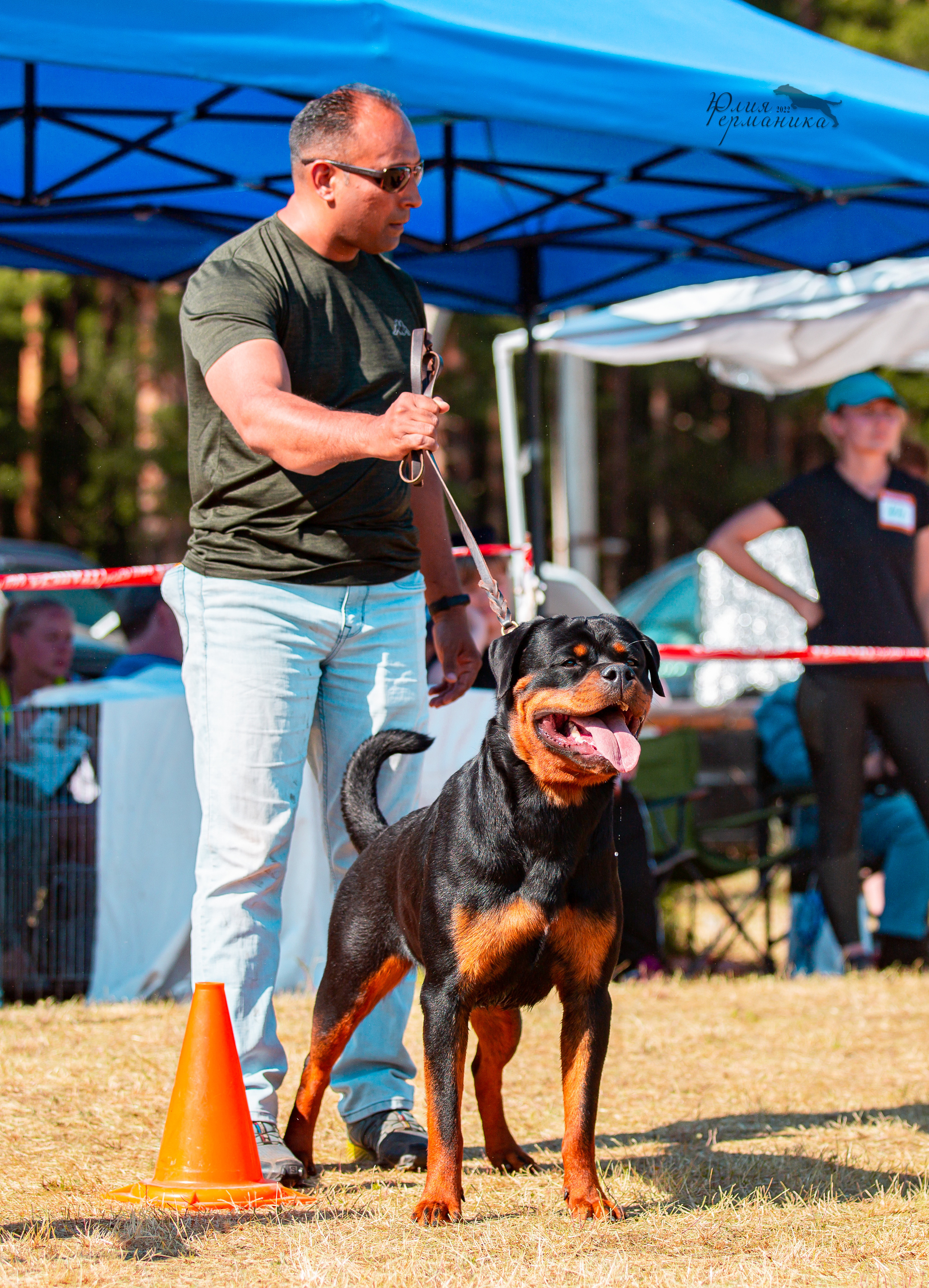 Тверь моно ротвейлеров 2-3.07.2022. Фотограф-анималист Юлия Германика