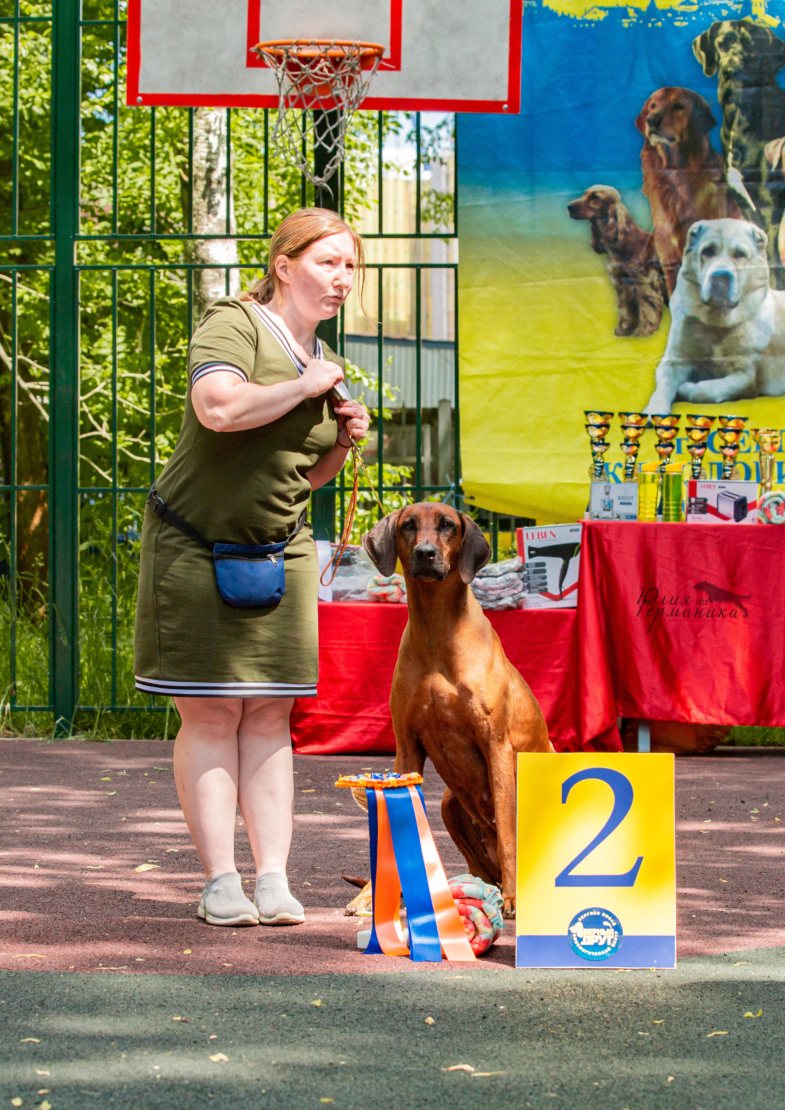 Сергиев Посад 2хСАС 25.06.2022. Фотограф-анималист Юлия Германика