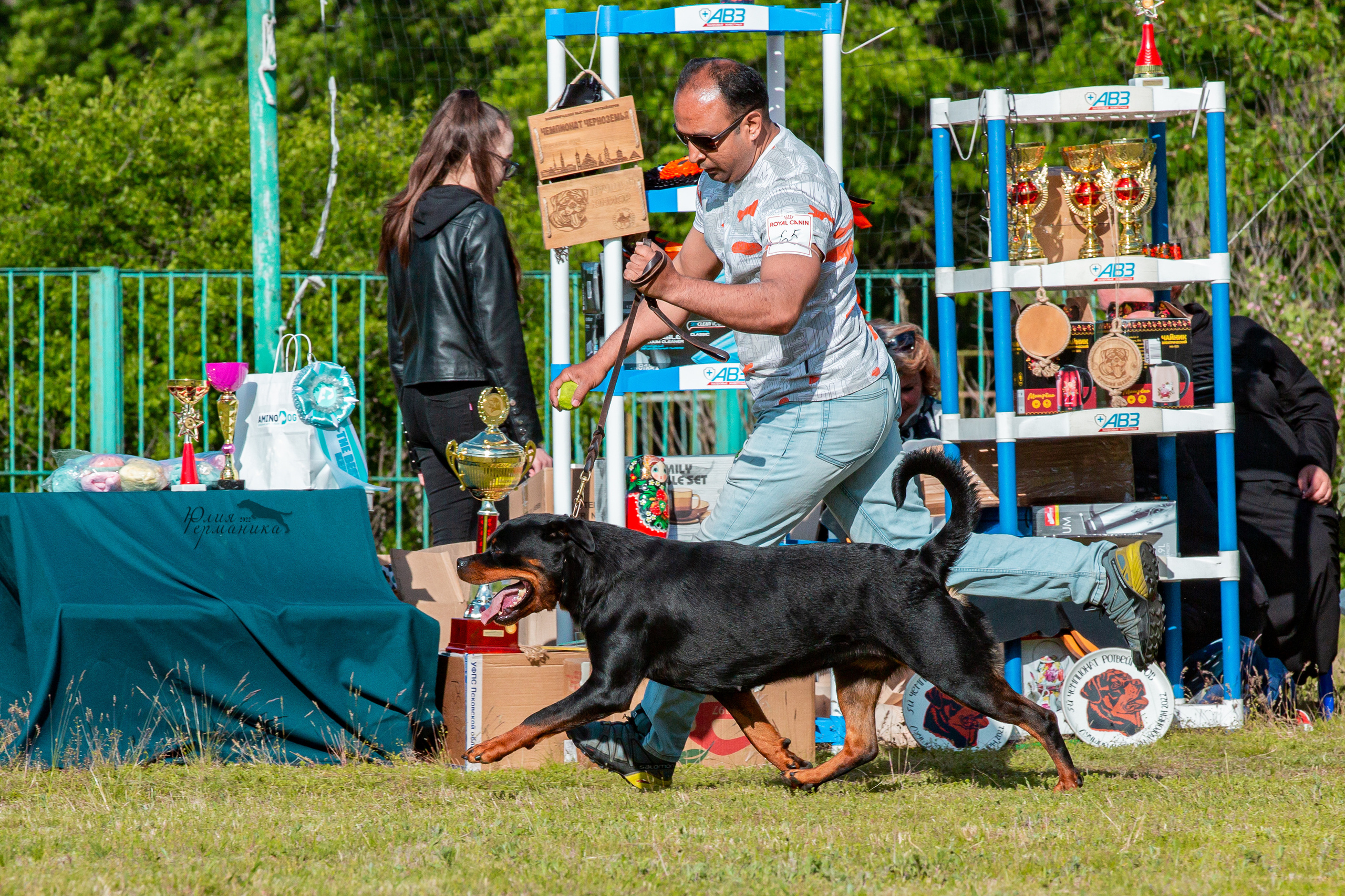 Нижний Новгород моно ротвейлеров 4 июня 2022. Фотограф-анималист Юлия Германика