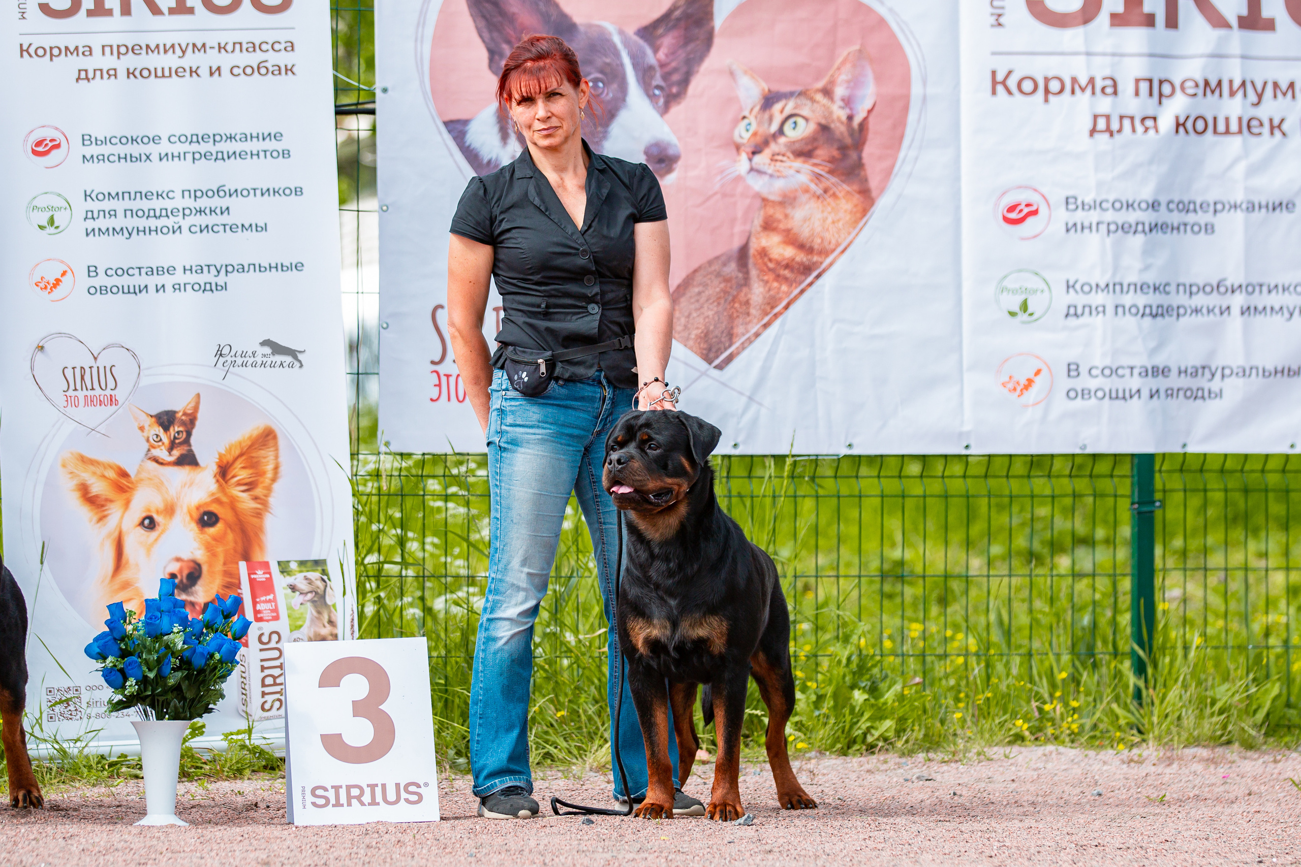 Смоленск 12.06,   Ховрино 13.06,    Питер 18.06 2022. Фотограф-анималист Юлия Германика