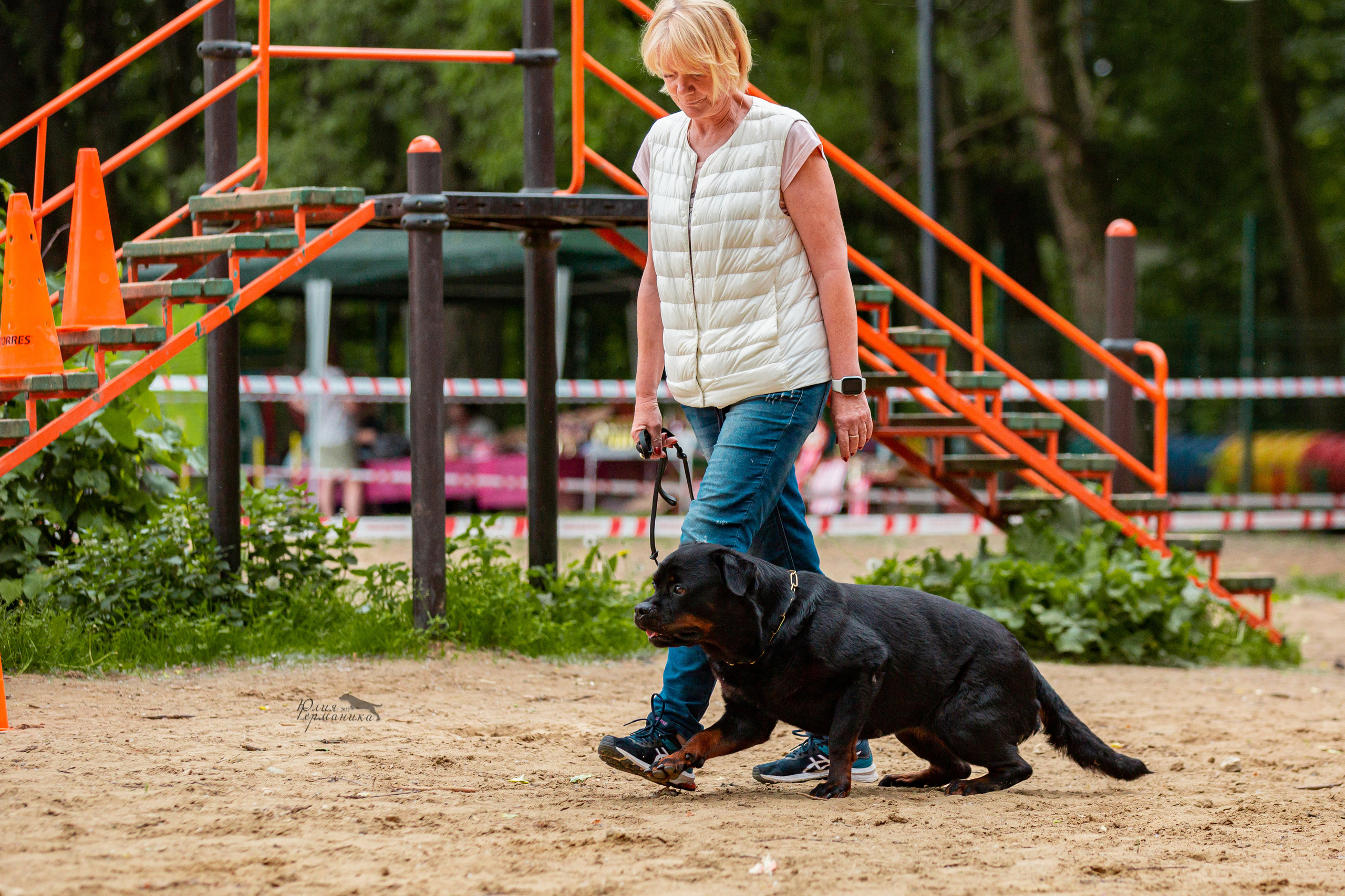Смоленск 12.06,   Ховрино 13.06,    Питер 18.06 2022. Фотограф-анималист Юлия Германика