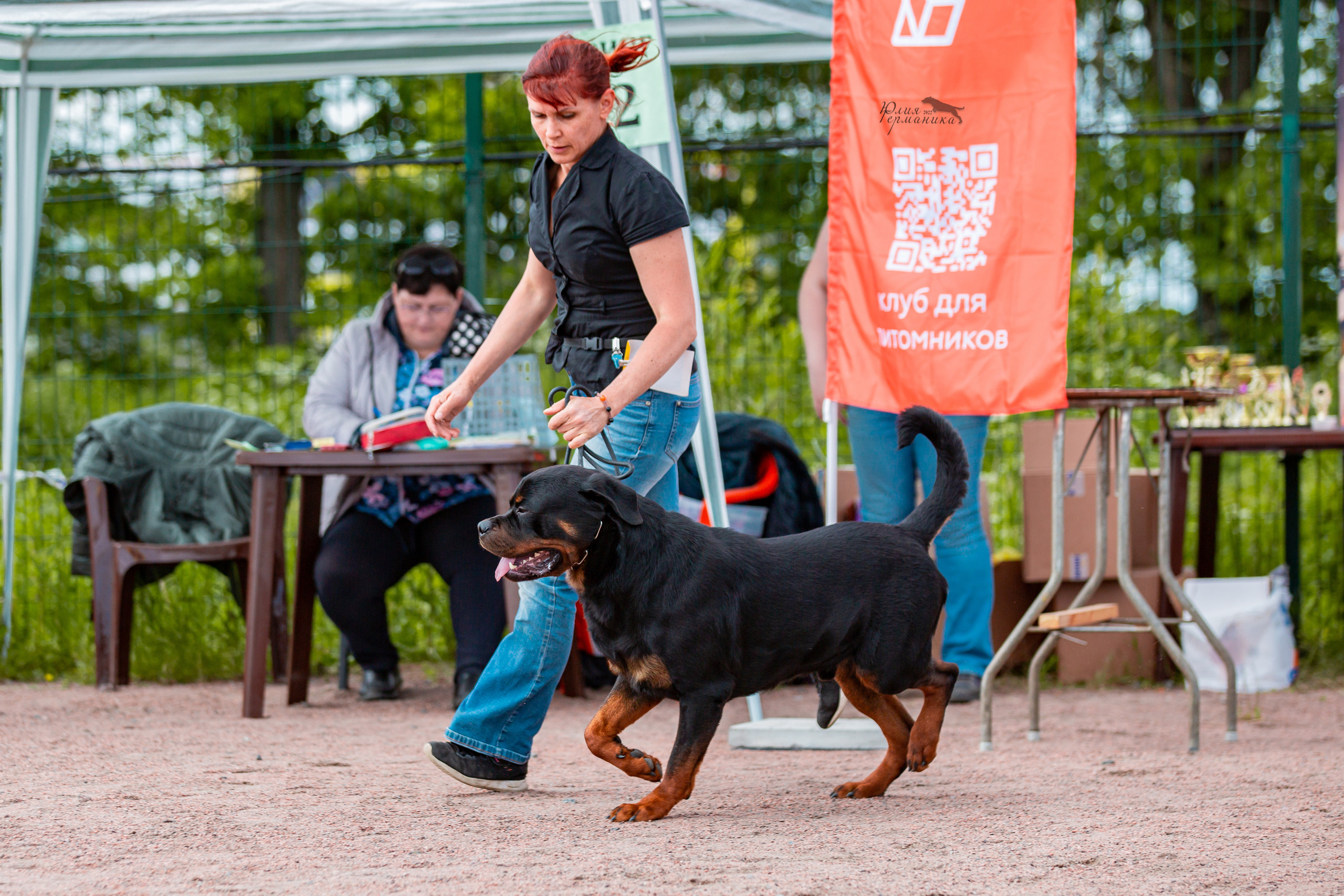 Смоленск 12.06,   Ховрино 13.06,    Питер 18.06 2022. Фотограф-анималист Юлия Германика