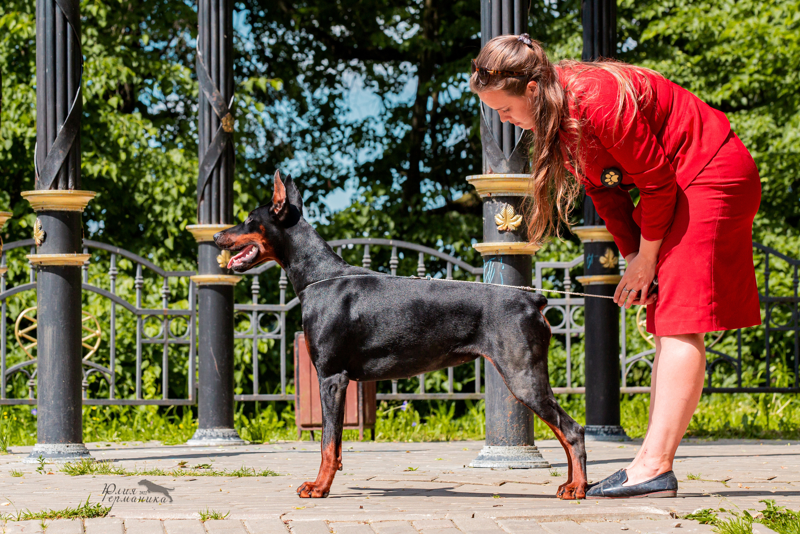 Сергиев Посад 2хСАС 25.06.2022. Фотограф-анималист Юлия Германика
