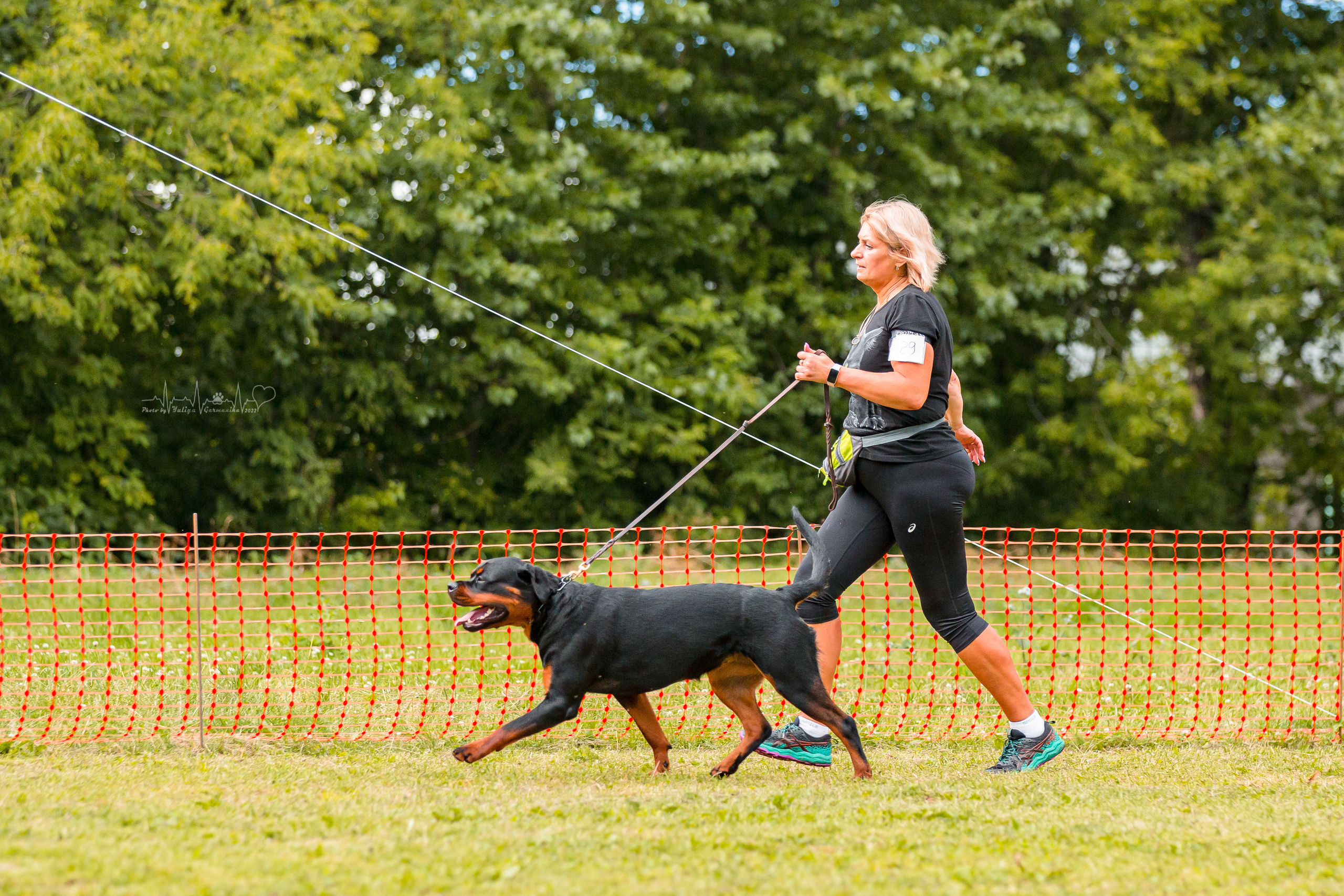Санкт-Петербург моно ротвейлеров 23.07.2022. Фотограф-анималист Юлия Германика