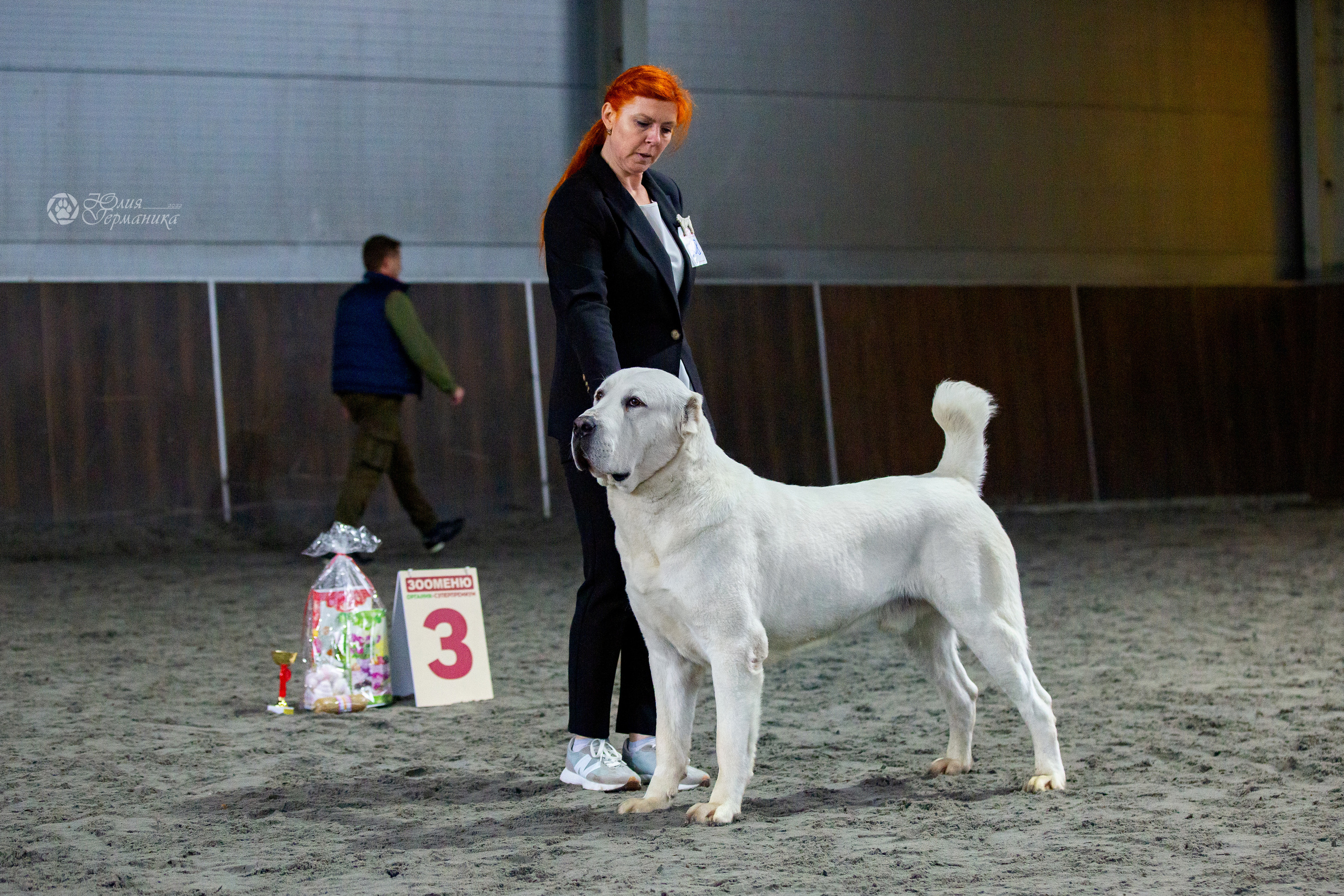 Националка САО+КЧК 24 апреля 2022. Фотограф-анималист Юлия Германика