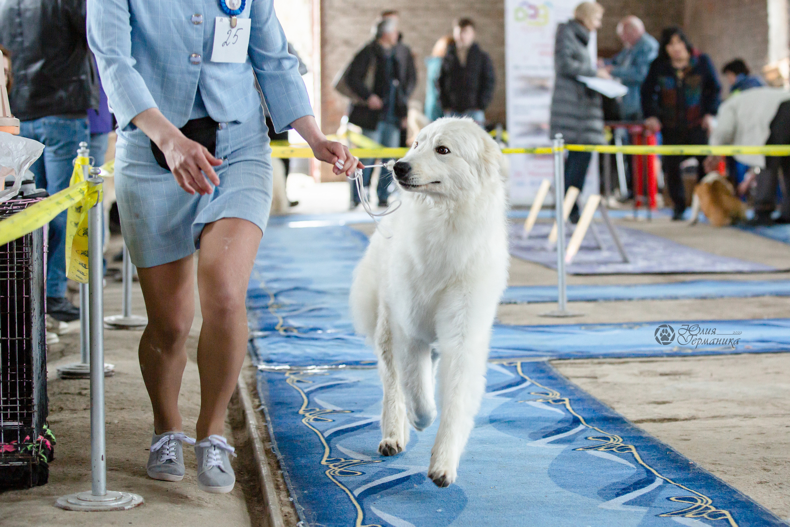 Сергиев Посад 23.04.2022. Фотограф-анималист Юлия Германика