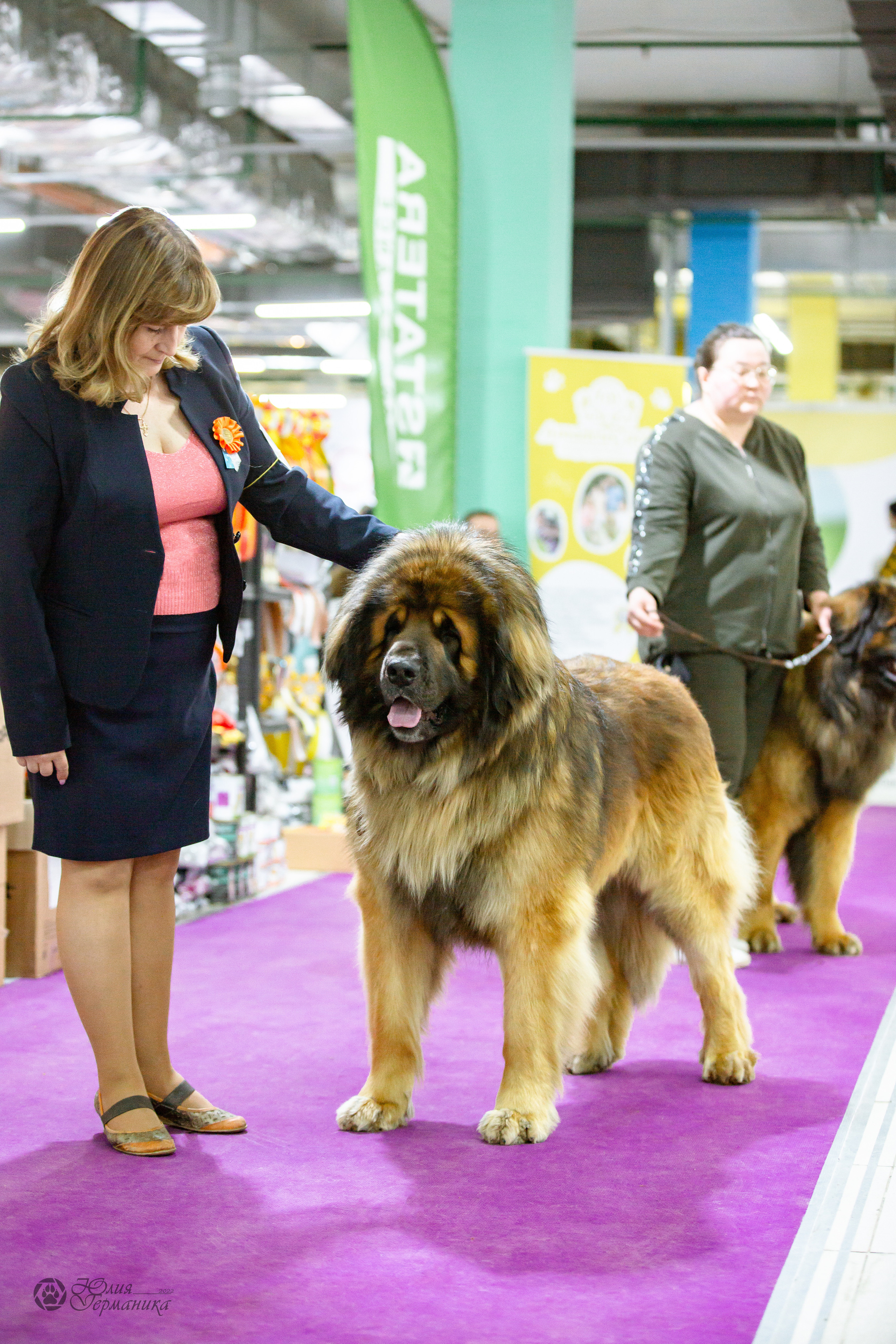 Чайна-Таун 16-17 апреля 2022. Фотограф-анималист Юлия Германика